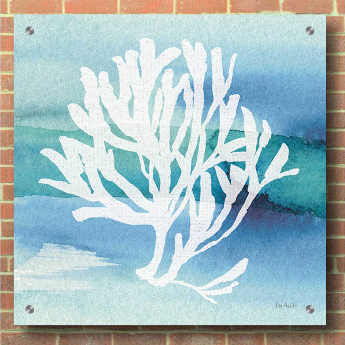 Epic Art 'Sea Life Coral I' by Lisa Audit, Acrylic Glass Wall Art,36x36