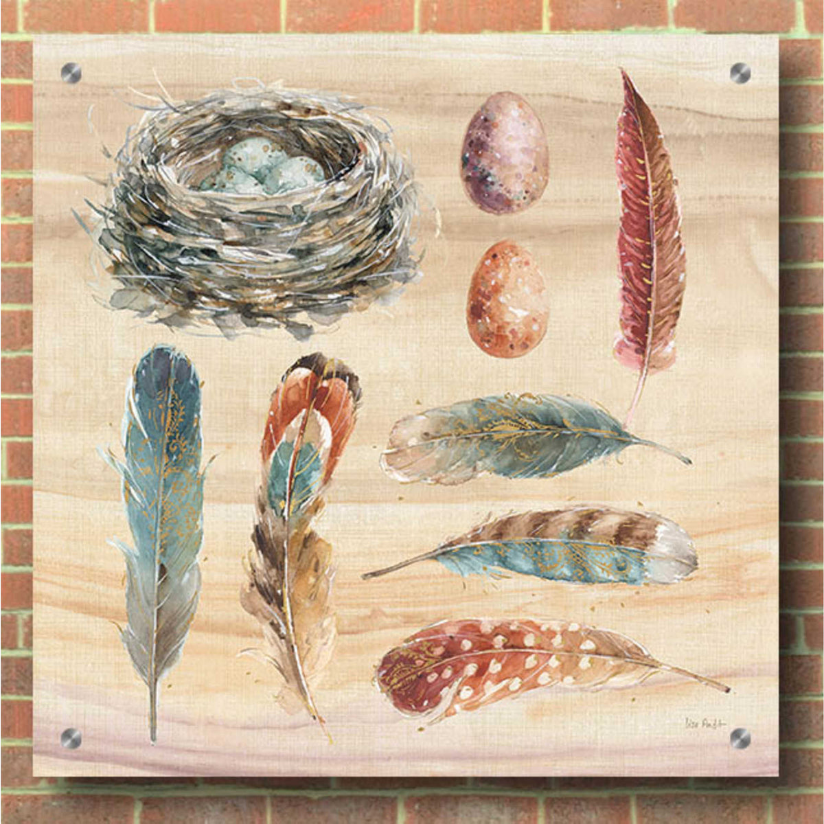 Epic Art 'Spiced Nature X' by Lisa Audit, Acrylic Glass Wall Art,36x36
