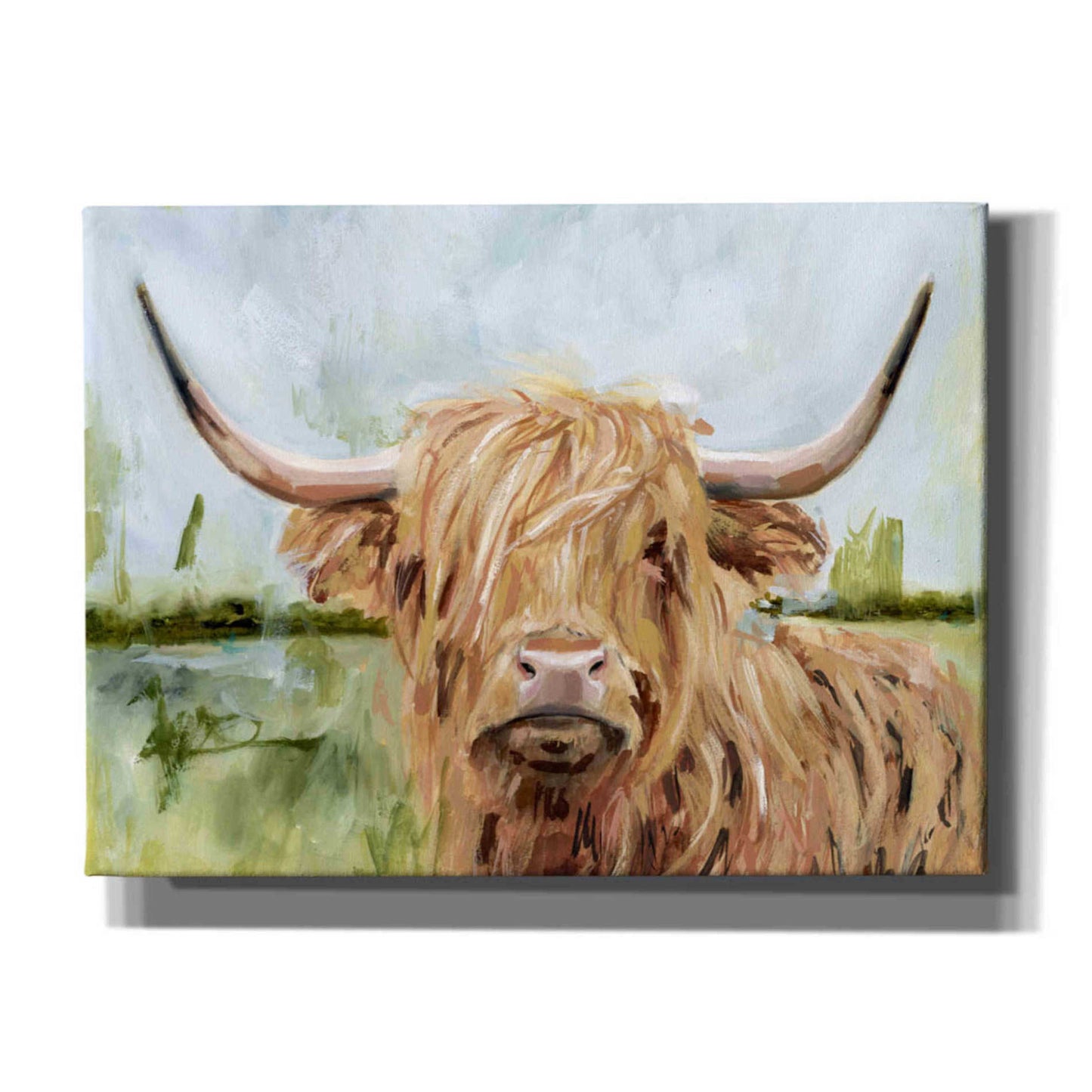 Epic Art 'Highland Grazer I' by Victoria Borges, Acrylic Wall Art,36x24