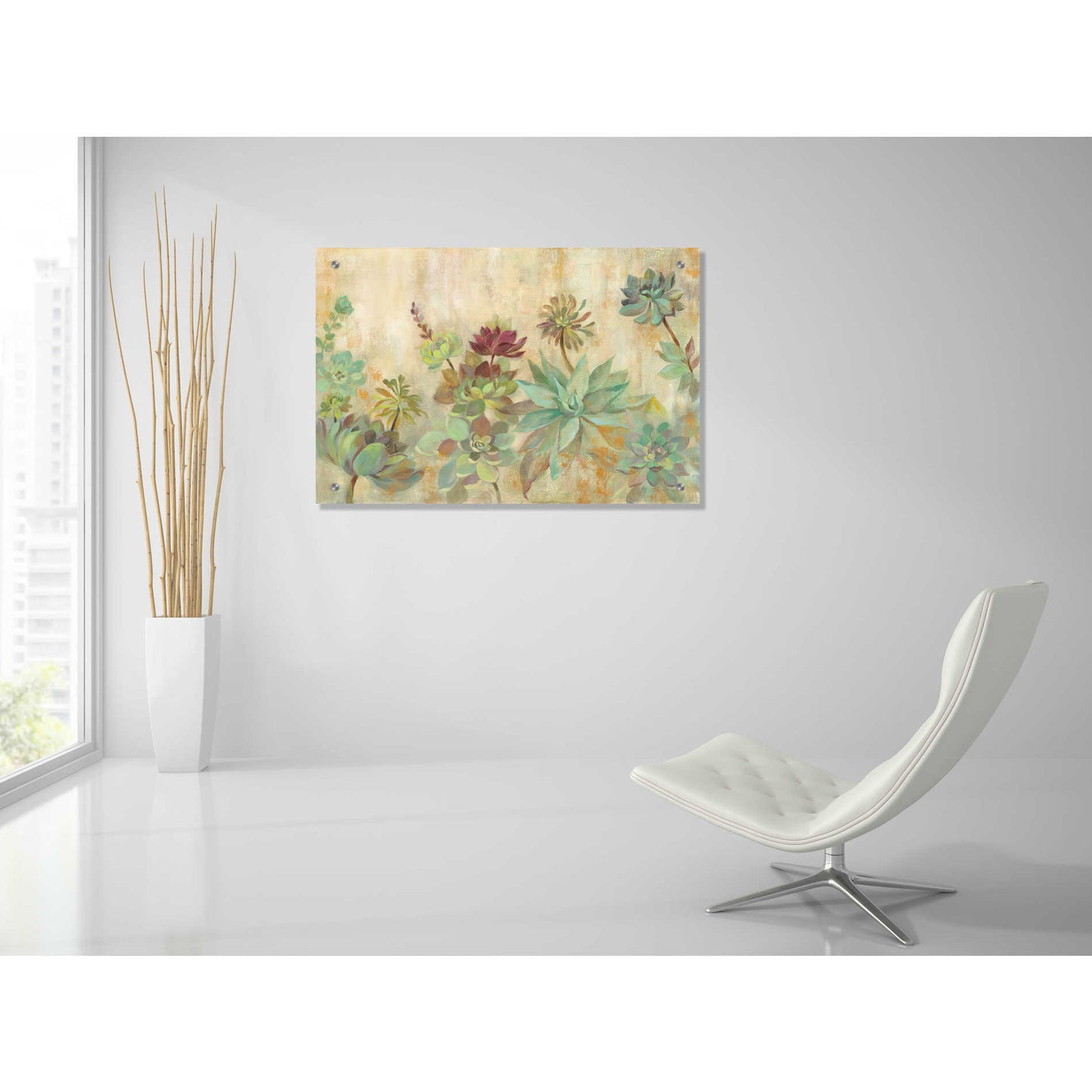 Epic Art 'Succulent Garden' by Silvia Vassileva, Acrylic Glass Wall Art,36x24