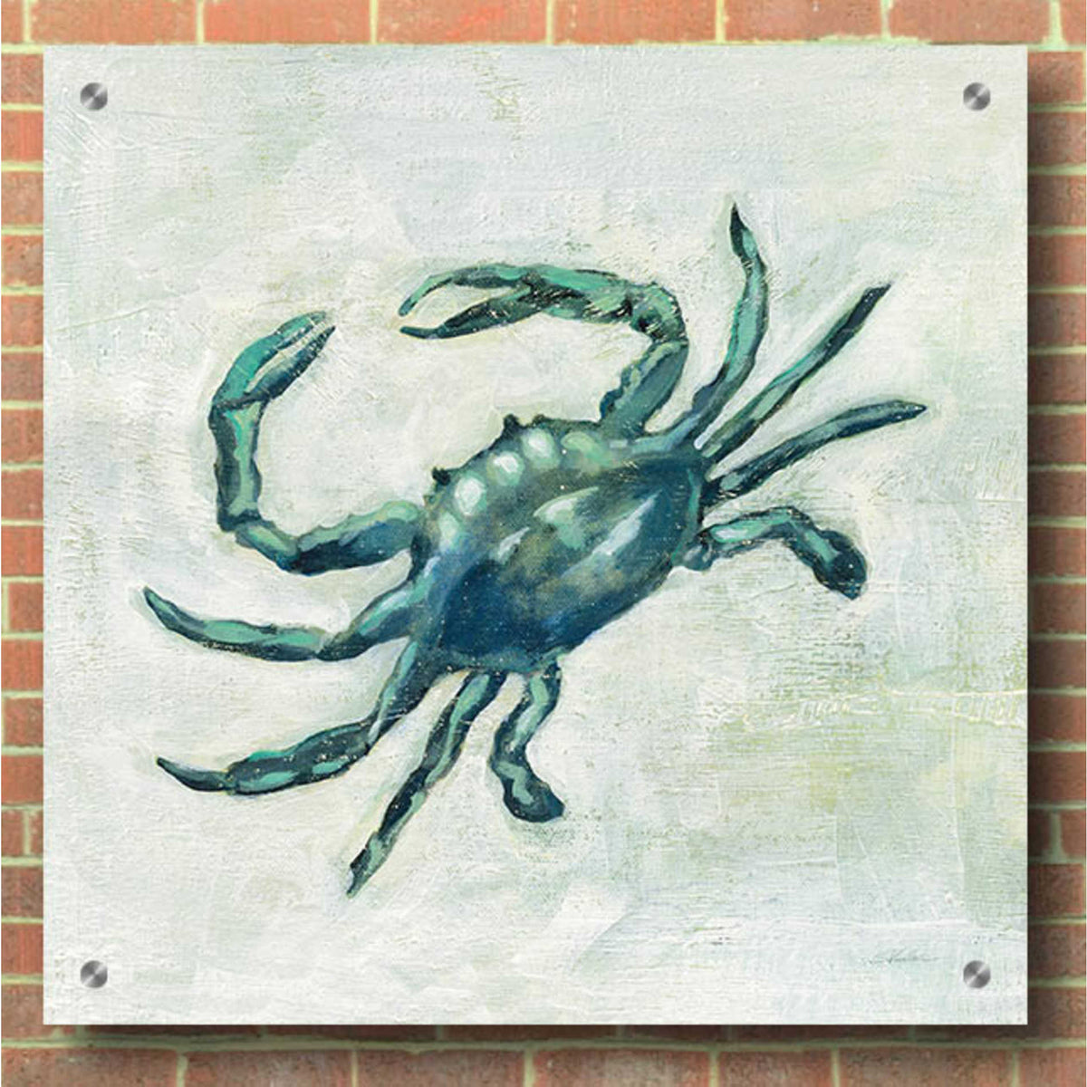 Epic Art 'Indigo Sea Life II' by Silvia Vassileva, Acrylic Glass Wall Art,36x36