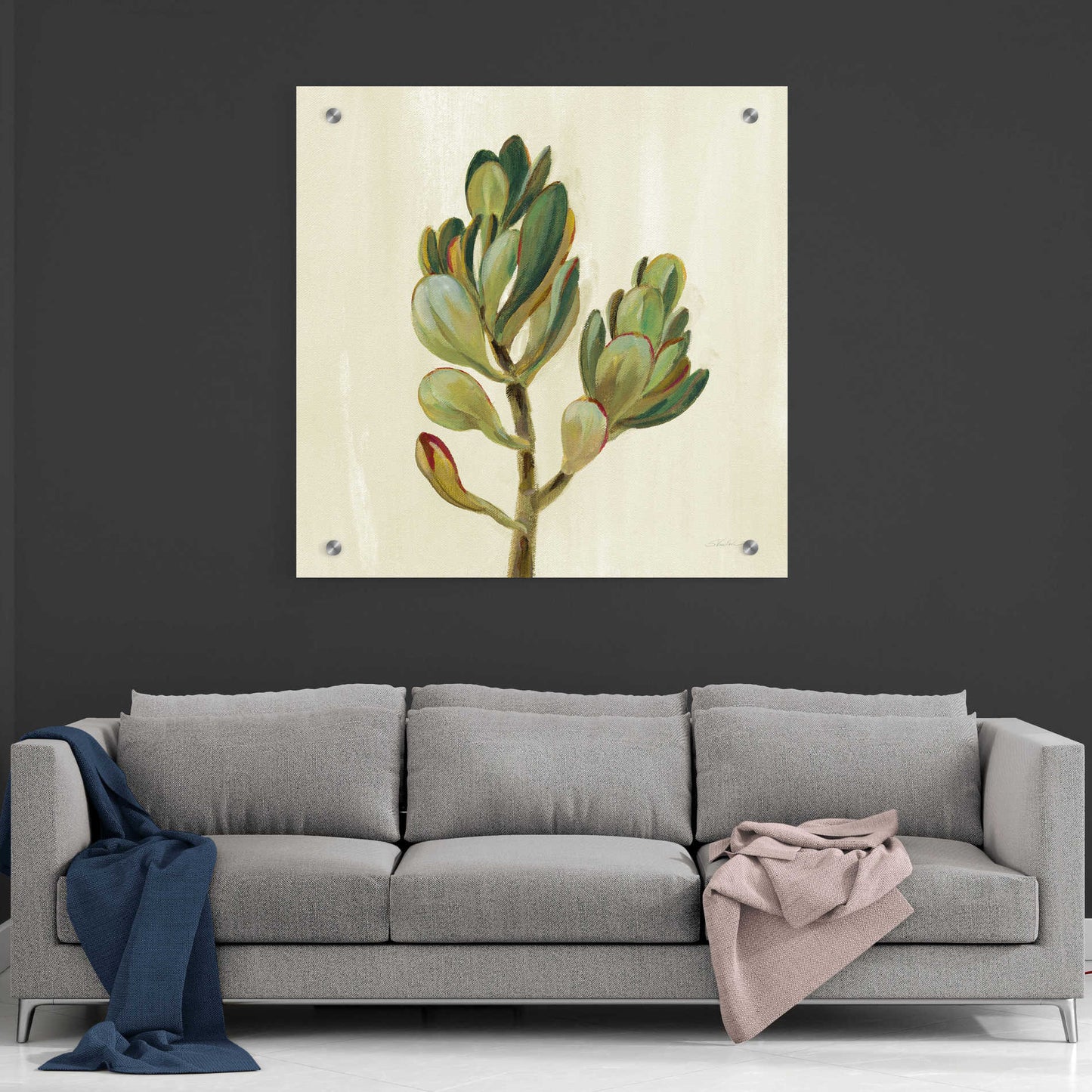 Epic Art 'Front Yard Succulent II' by Silvia Vassileva, Acrylic Glass Wall Art,36x36