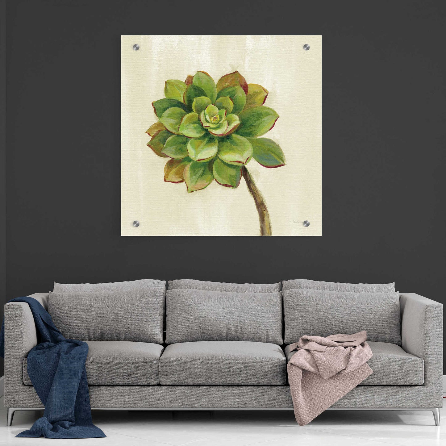 Epic Art 'Front Yard Succulent IV' by Silvia Vassileva, Acrylic Glass Wall Art,36x36