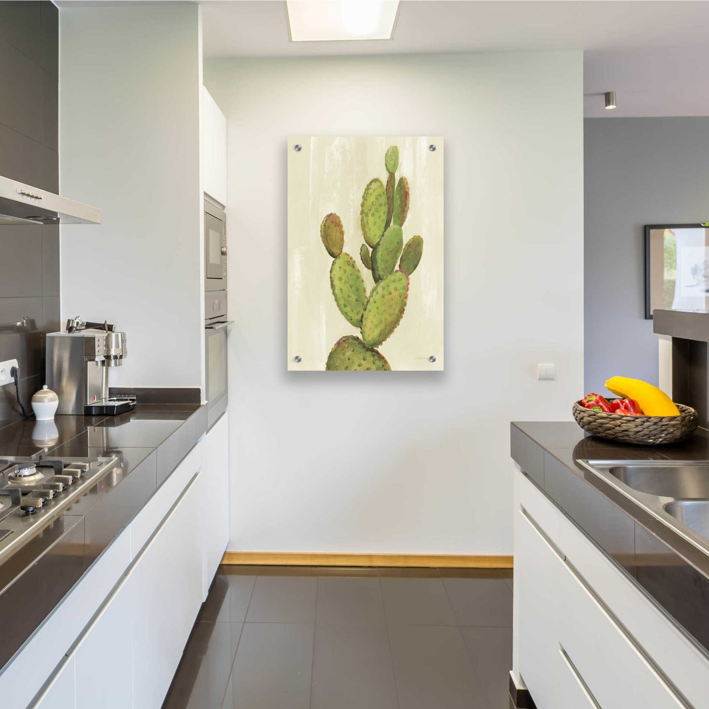 Epic Art 'Front Yard Cactus I' by Silvia Vassileva, Acrylic Glass Wall Art,24x36