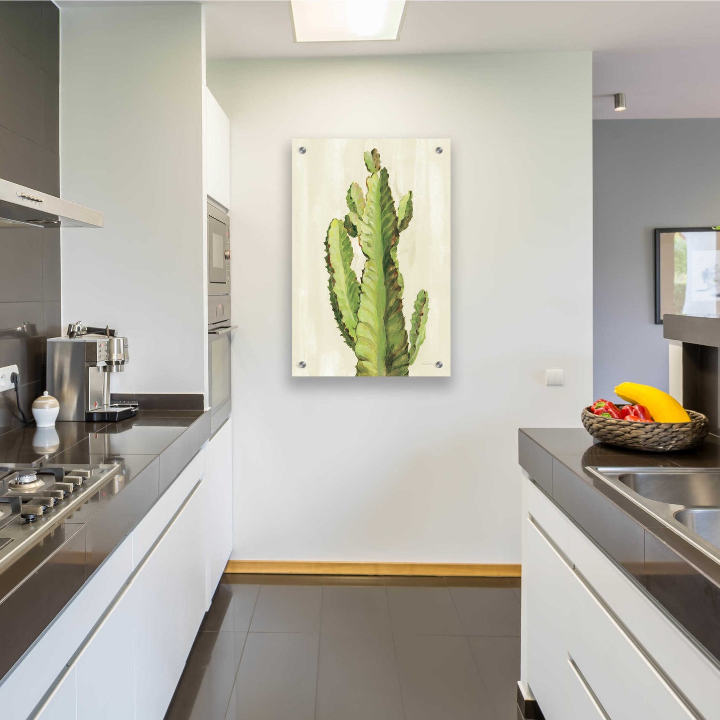 Epic Art 'Front Yard Cactus II' by Silvia Vassileva, Acrylic Glass Wall Art,24x36