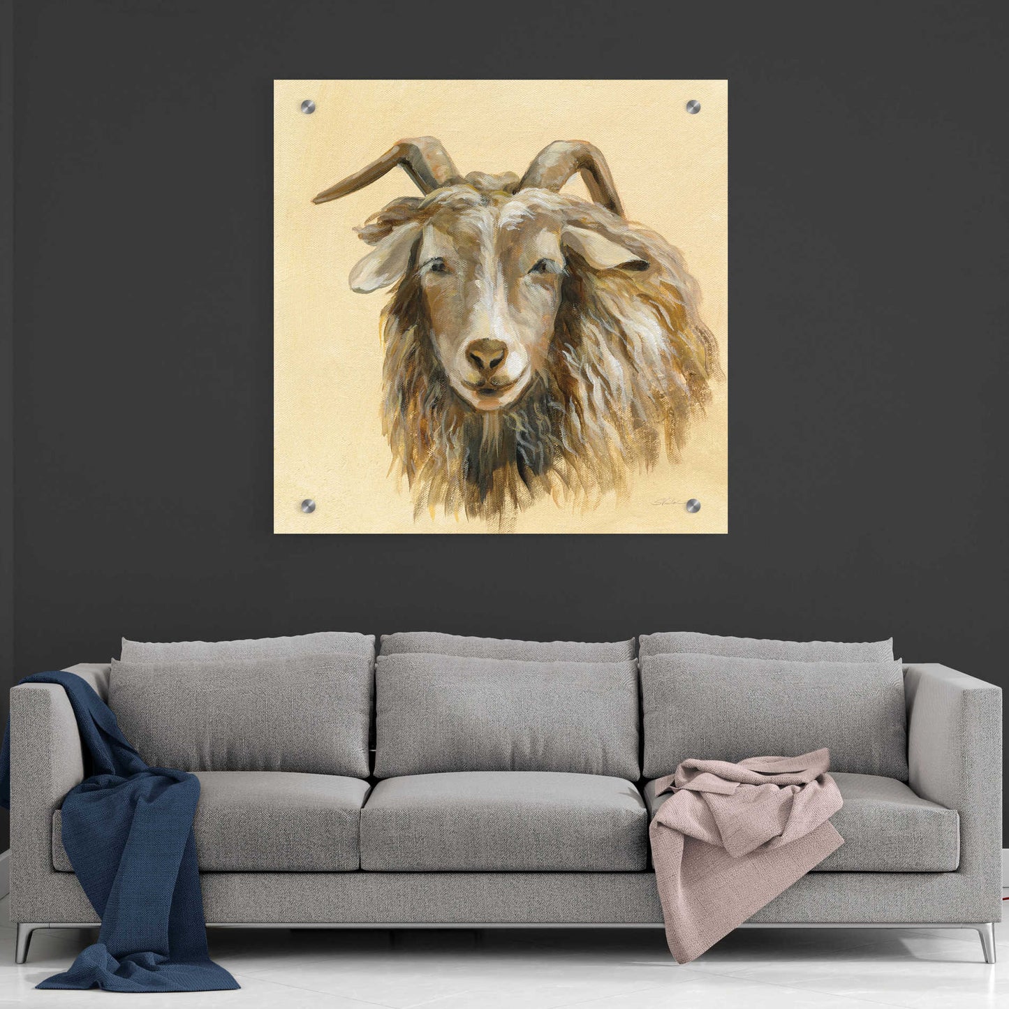 Epic Art 'Highland Animal Sheep' by Silvia Vassileva, Acrylic Glass Wall Art,36x36