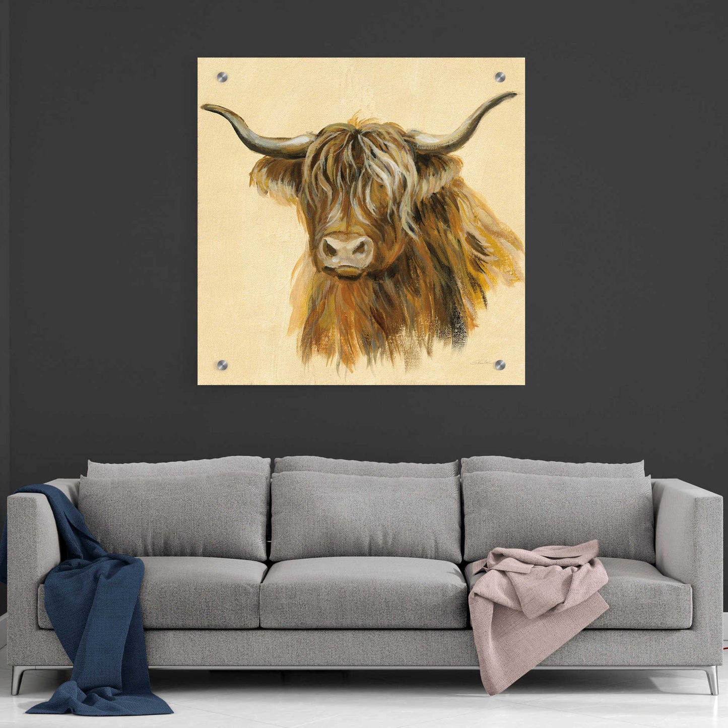 Epic Art 'Highland Animal Cow' by Silvia Vassileva, Acrylic Glass Wall Art,36x36