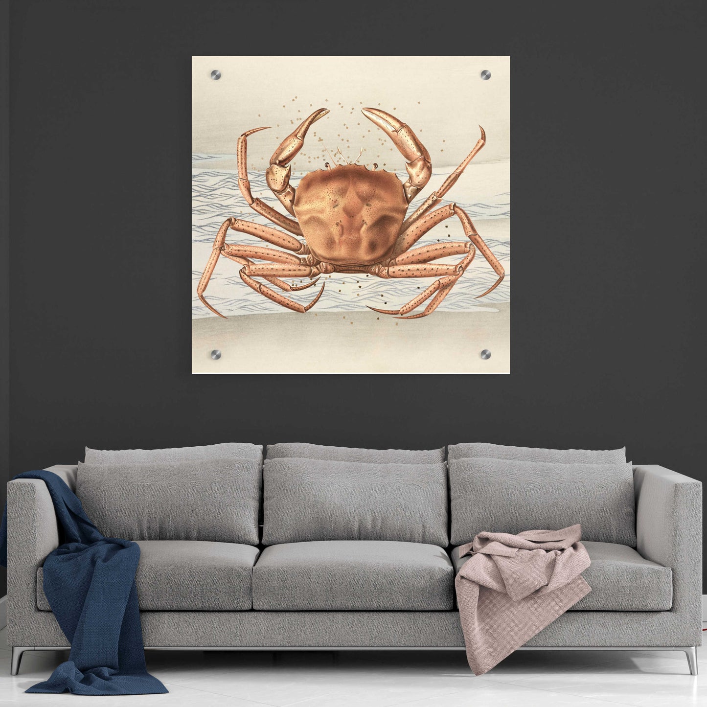 Epic Art 'Sandcritter 1' by Karen Smith, Acrylic Glass Wall Art,36x36