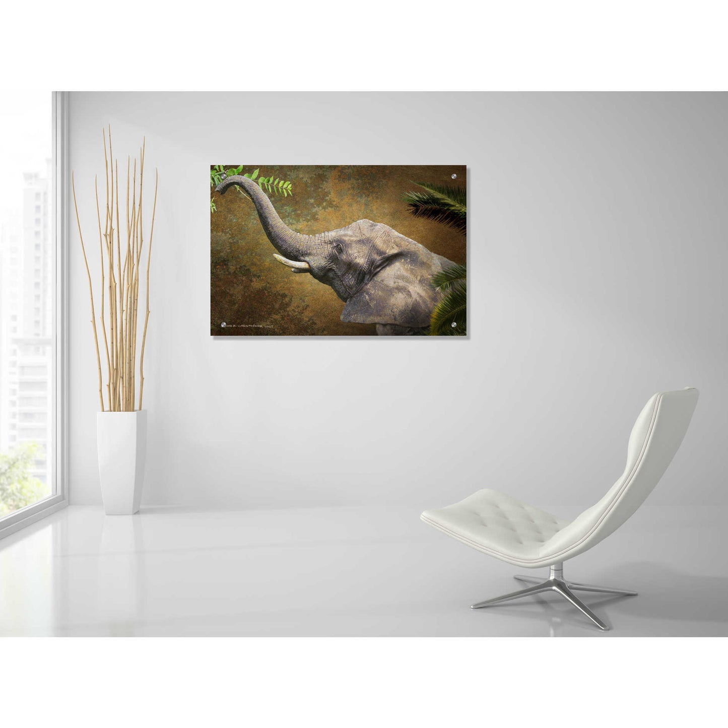 Epic Art 'Forest Elephant' by Chris Vest, Acrylic Glass Wall Art,36x24
