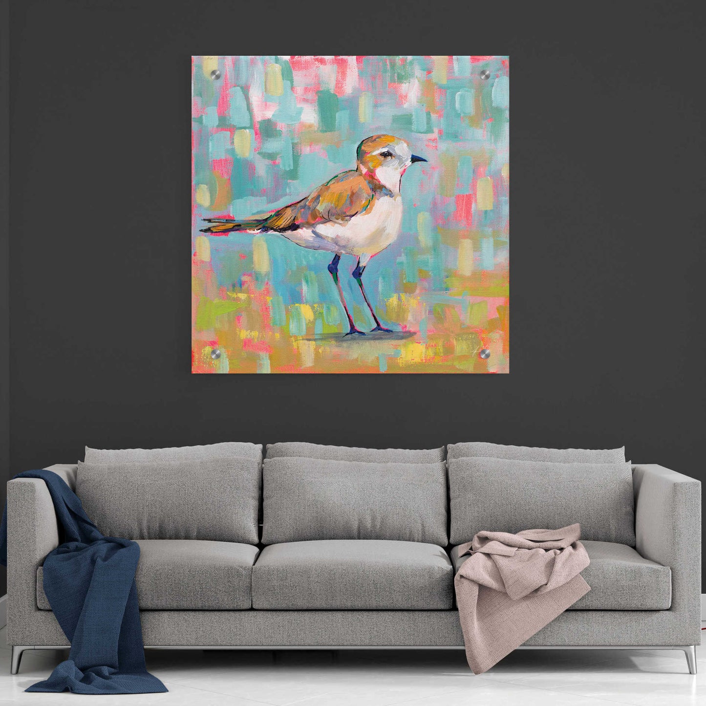 Epic Art 'Coastal Plover III' by Jeanette Vertentes, Acrylic Glass Wall Art,36x36
