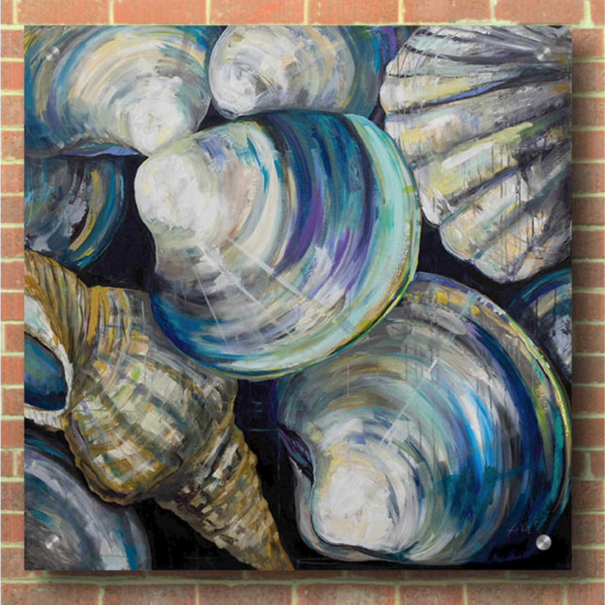 Epic Art 'Key West Shells' by Jeanette Vertentes, Acrylic Glass Wall Art,36x36