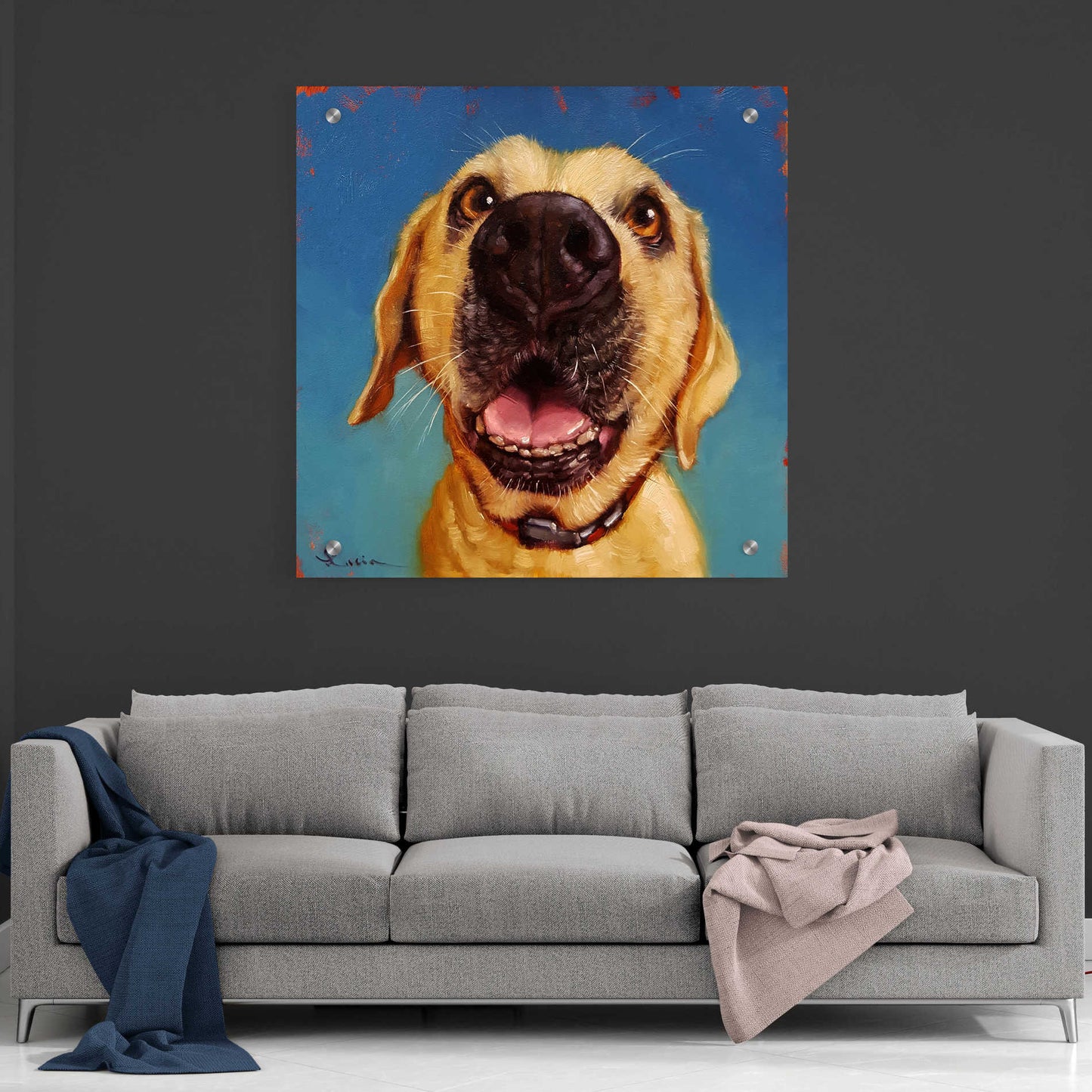 Epic Art 'Follow Your Nose 2' by Lucia Heffernan, Acrylic Glass Wall Art,36x36