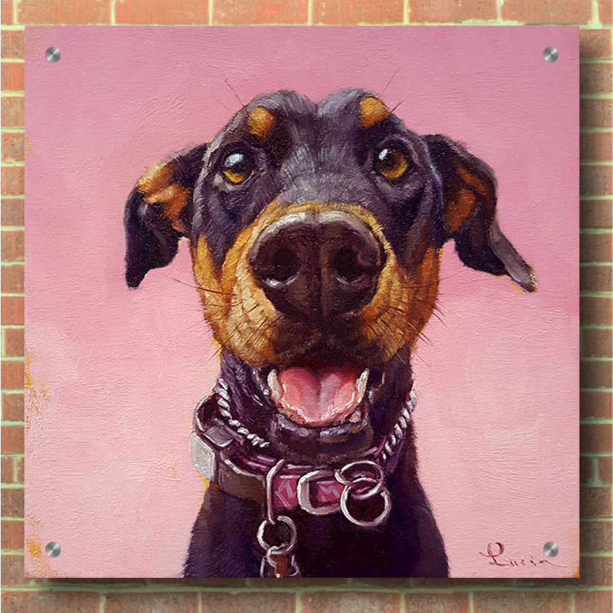 Epic Art 'Follow Your Nose 12' by Lucia Heffernan, Acrylic Glass Wall Art,36x36