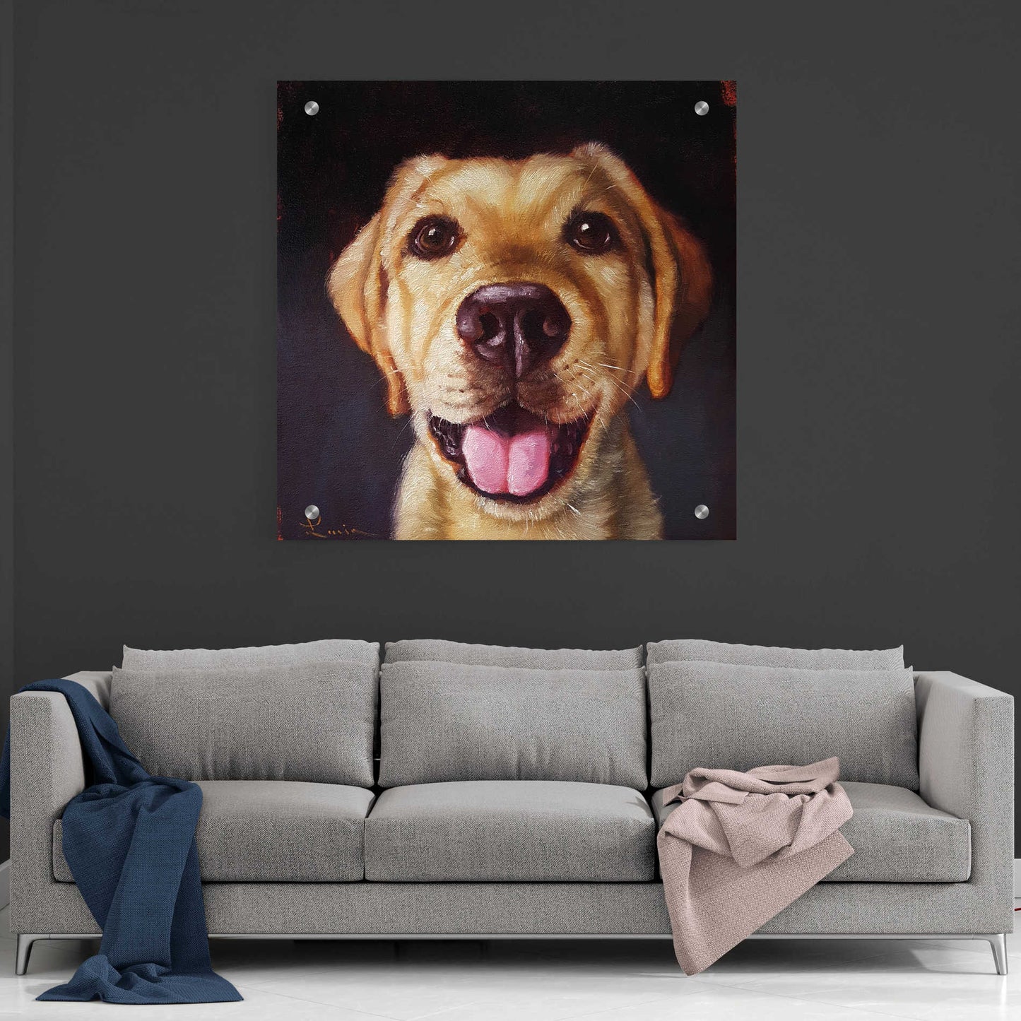 Epic Art 'Follow Your Nose 13' by Lucia Heffernan, Acrylic Glass Wall Art,36x36