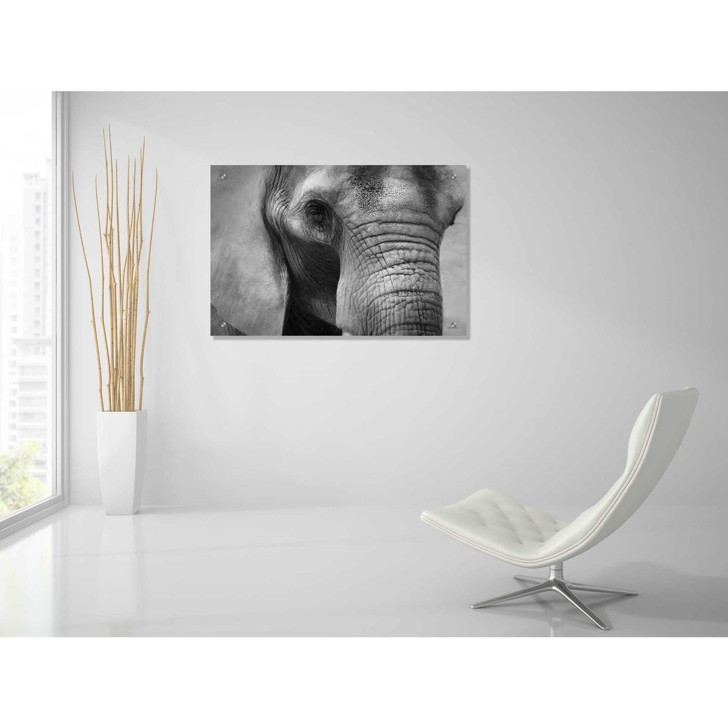 Epic Art 'Elephant' by Lori Deiter, Acrylic Glass Wall Art,36x24