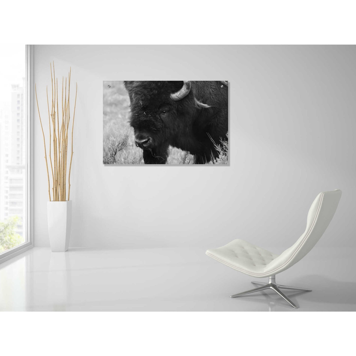 Epic Art 'Yellowstone Bison' by Lori Deiter, Acrylic Glass Wall Art,36x24