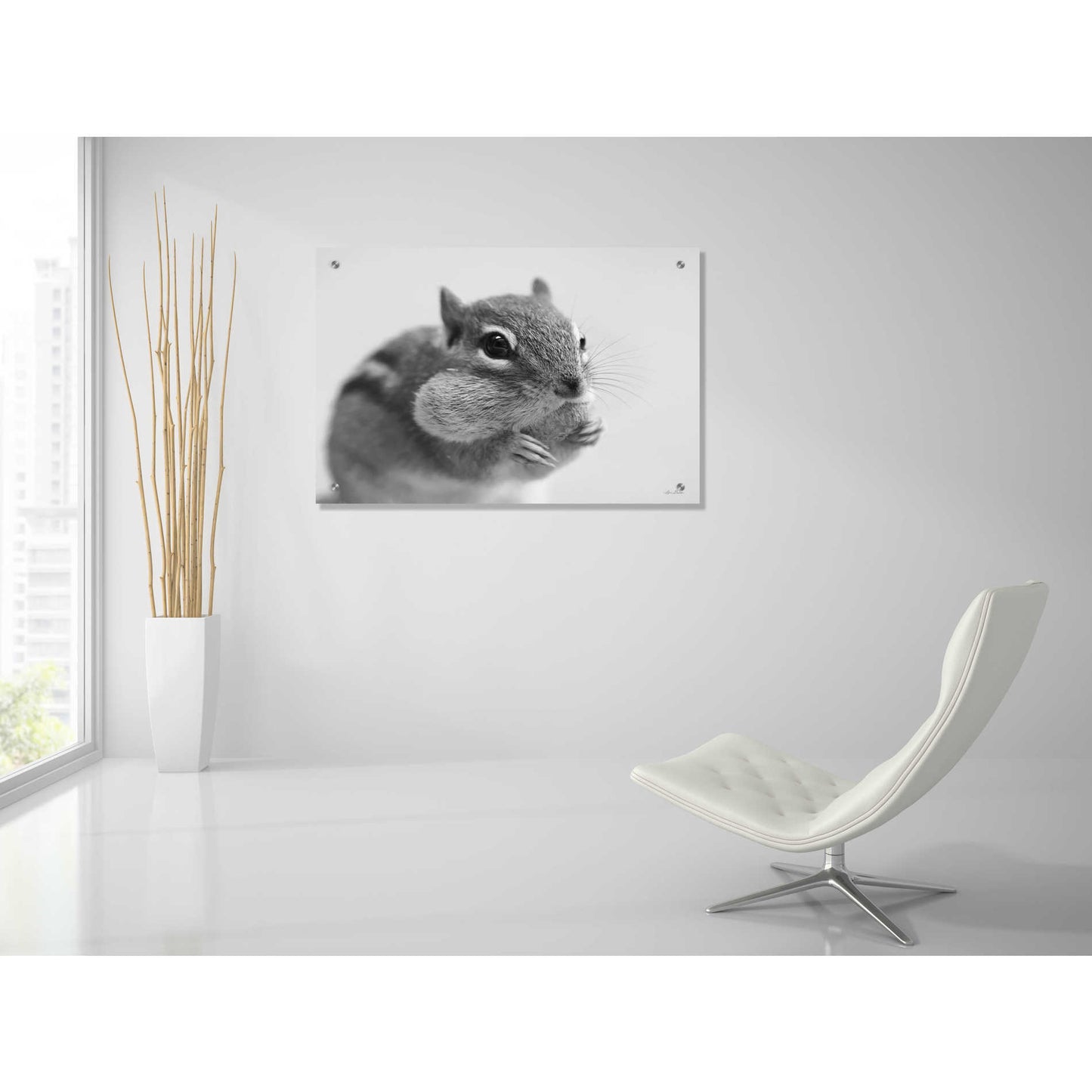 Epic Art 'Chippy' by Lori Deiter, Acrylic Glass Wall Art,36x24