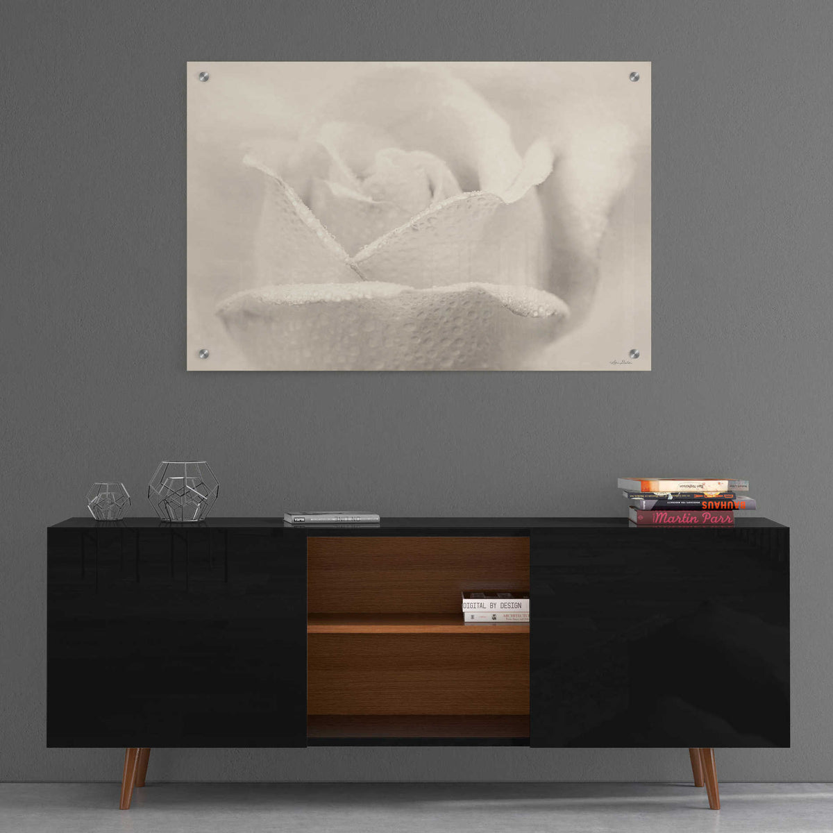 Epic Art 'White Rose' by Lori Deiter, Acrylic Glass Wall Art,36x24