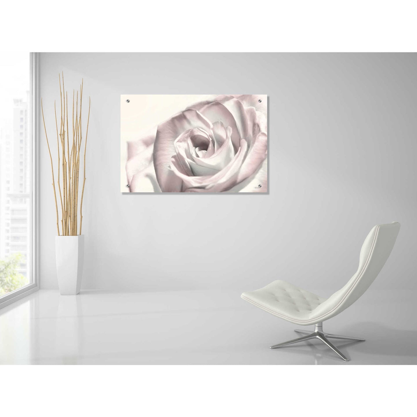 Epic Art 'Blush Rose I' by Lori Deiter, Acrylic Glass Wall Art,36x24