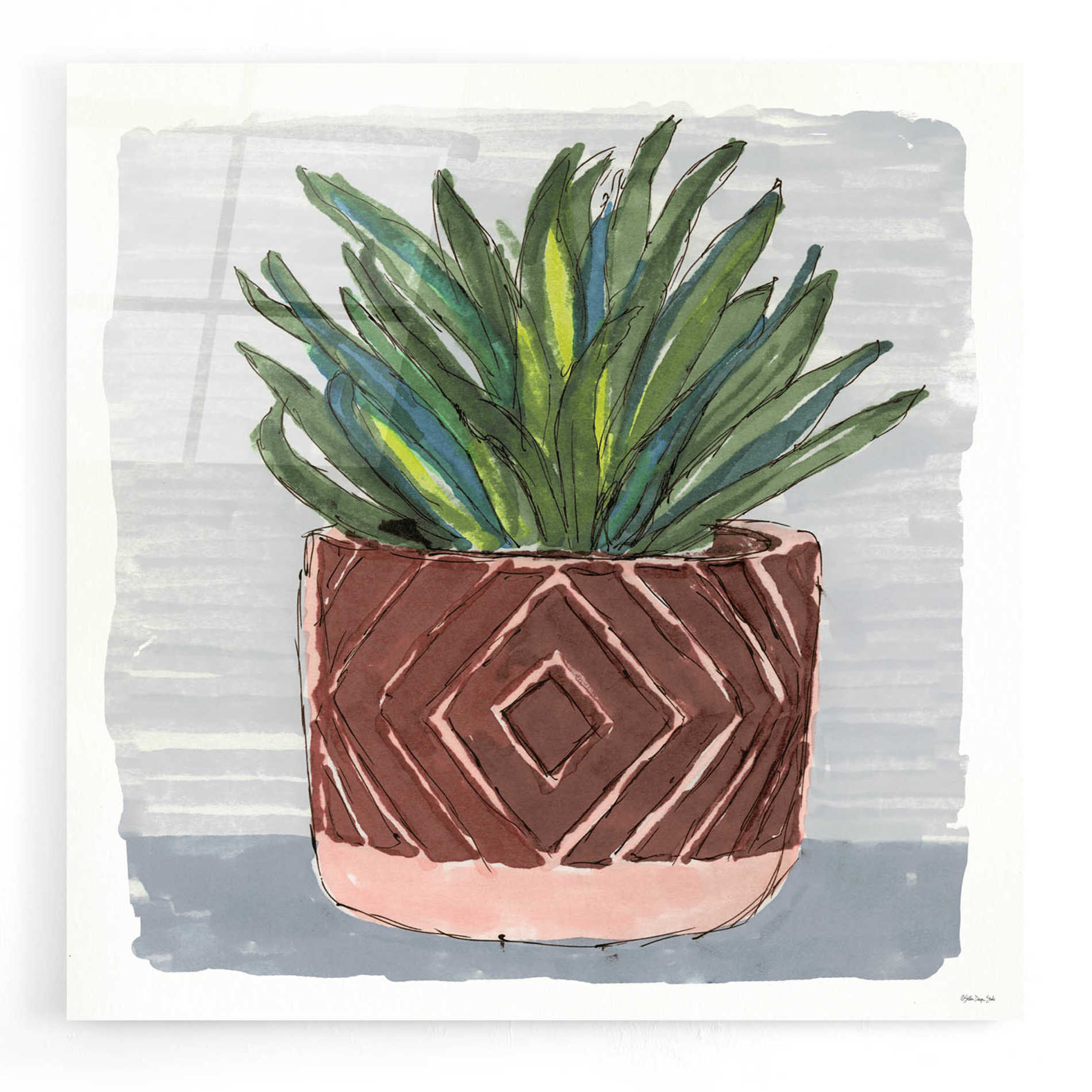 Epic Art 'Potted Agave II' by Stellar Design Studio, Acrylic Glass Wall Art