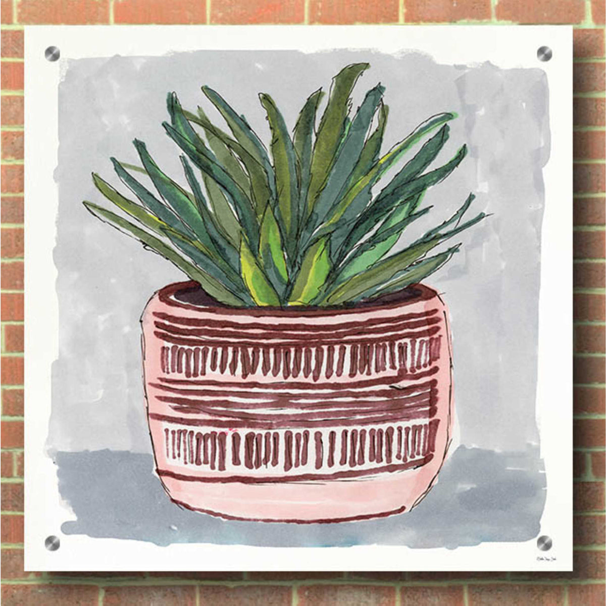 Epic Art 'Potted Agave I' by Stellar Design Studio, Acrylic Glass Wall Art,36x36