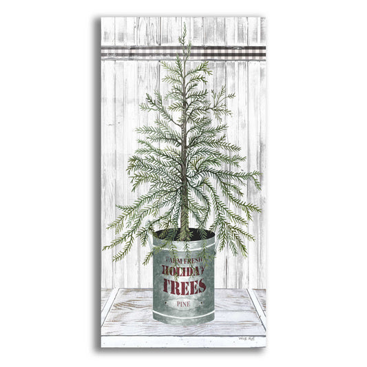 Epic Art 'Galvanized Pot Pine' by Cindy Jacobs, Acrylic Glass Wall Art