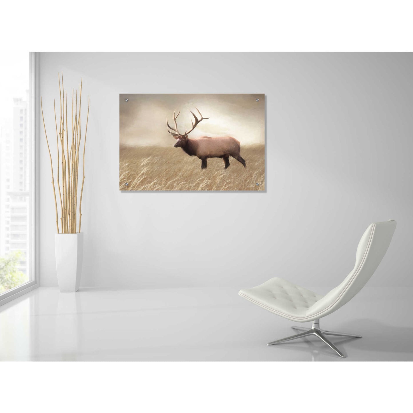Epic Art 'Elk in the Field' by Lori Deiter, Acrylic Glass Wall Art,36x24