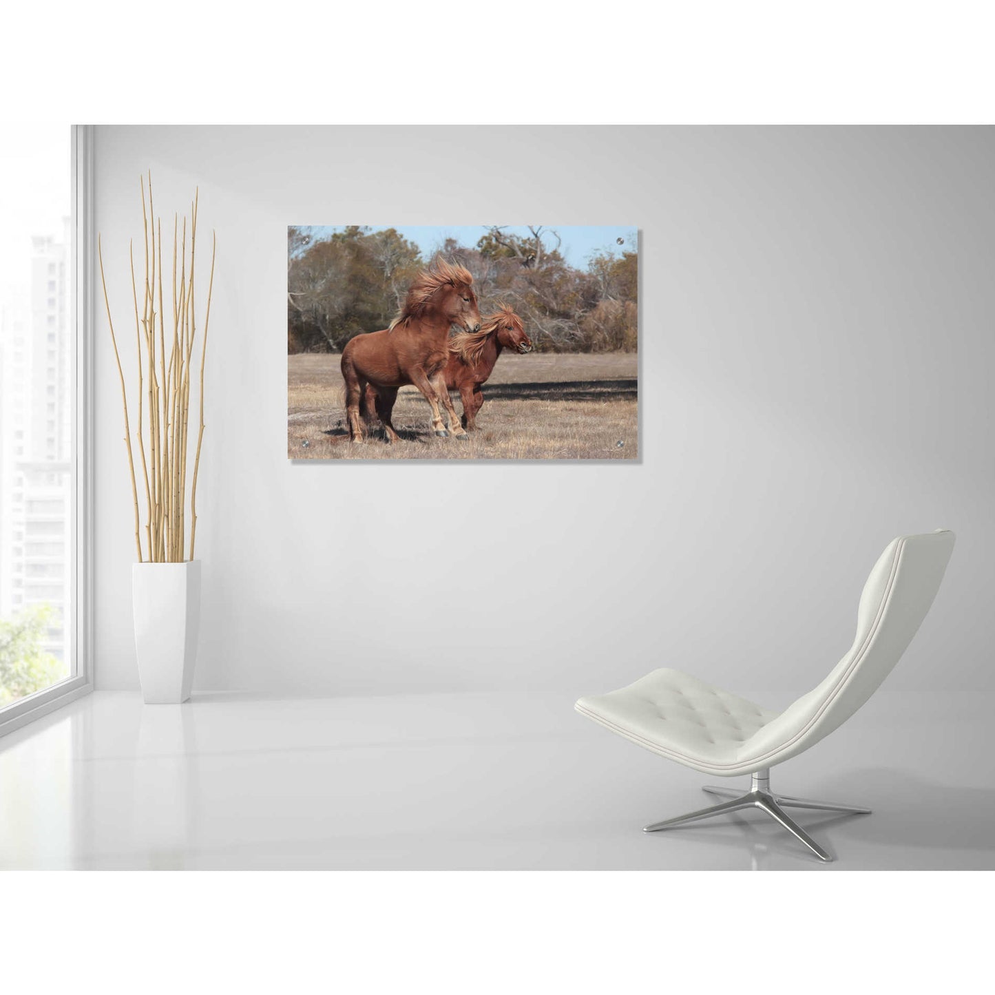 Epic Art 'Assateague Horses I' by Lori Deiter, Acrylic Glass Wall Art,36x24