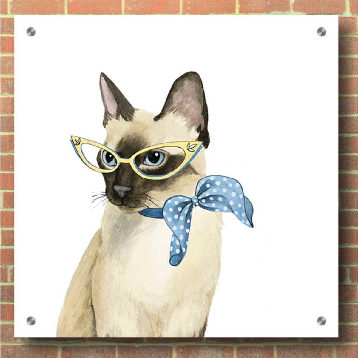 Epic Art 'Cool Cat II' by Grace Popp, Acrylic Glass Wall Art,36x36