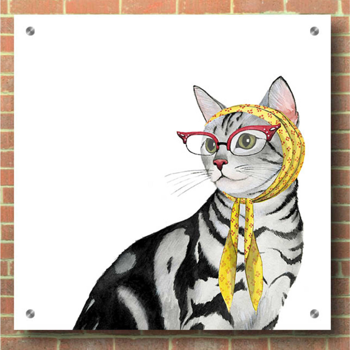 Epic Art 'Cool Cat III' by Grace Popp, Acrylic Glass Wall Art,36x36