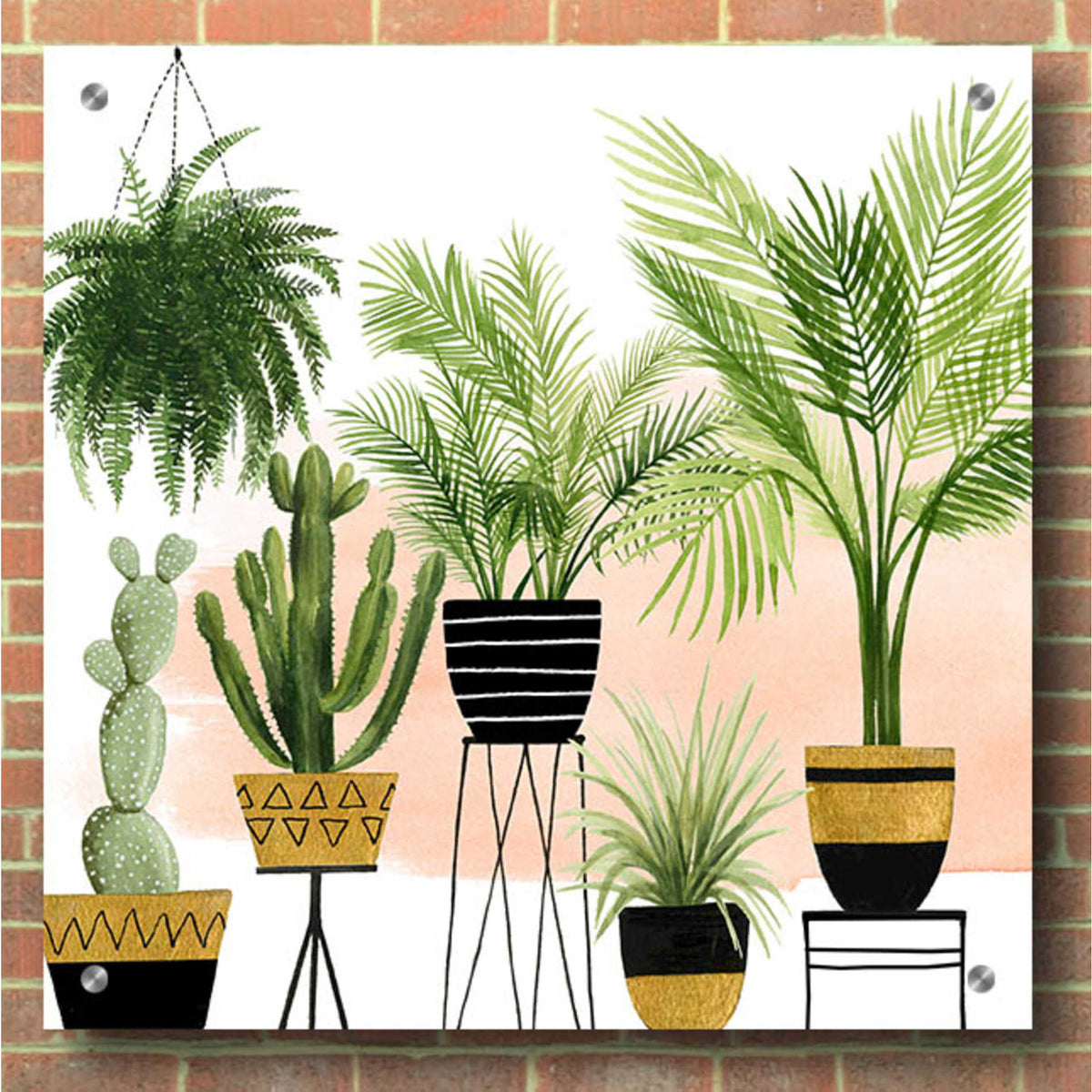 Epic Art 'Indoor Oasis II' by Grace Popp, Acrylic Glass Wall Art,36x36