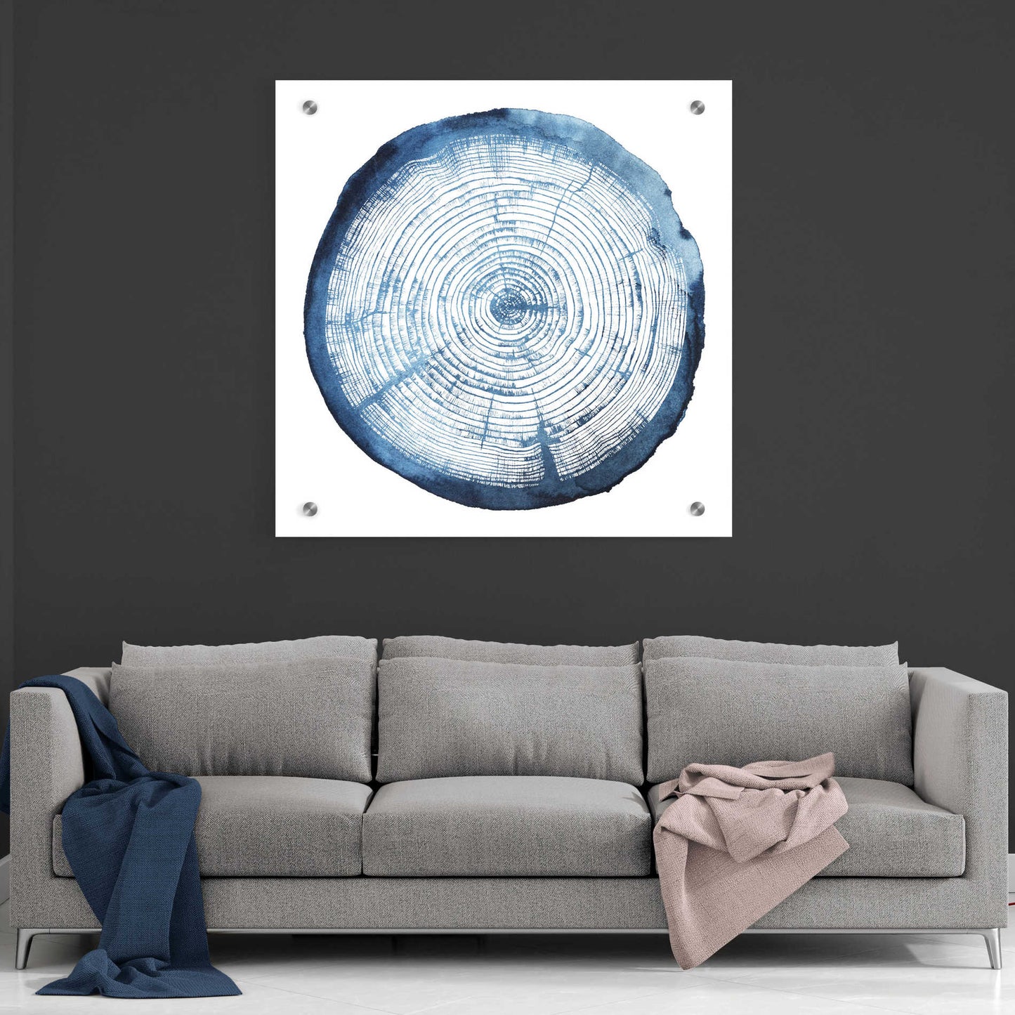 Epic Art 'Tree Ring Overlay I' by Grace Popp, Acrylic Glass Wall Art,36x36