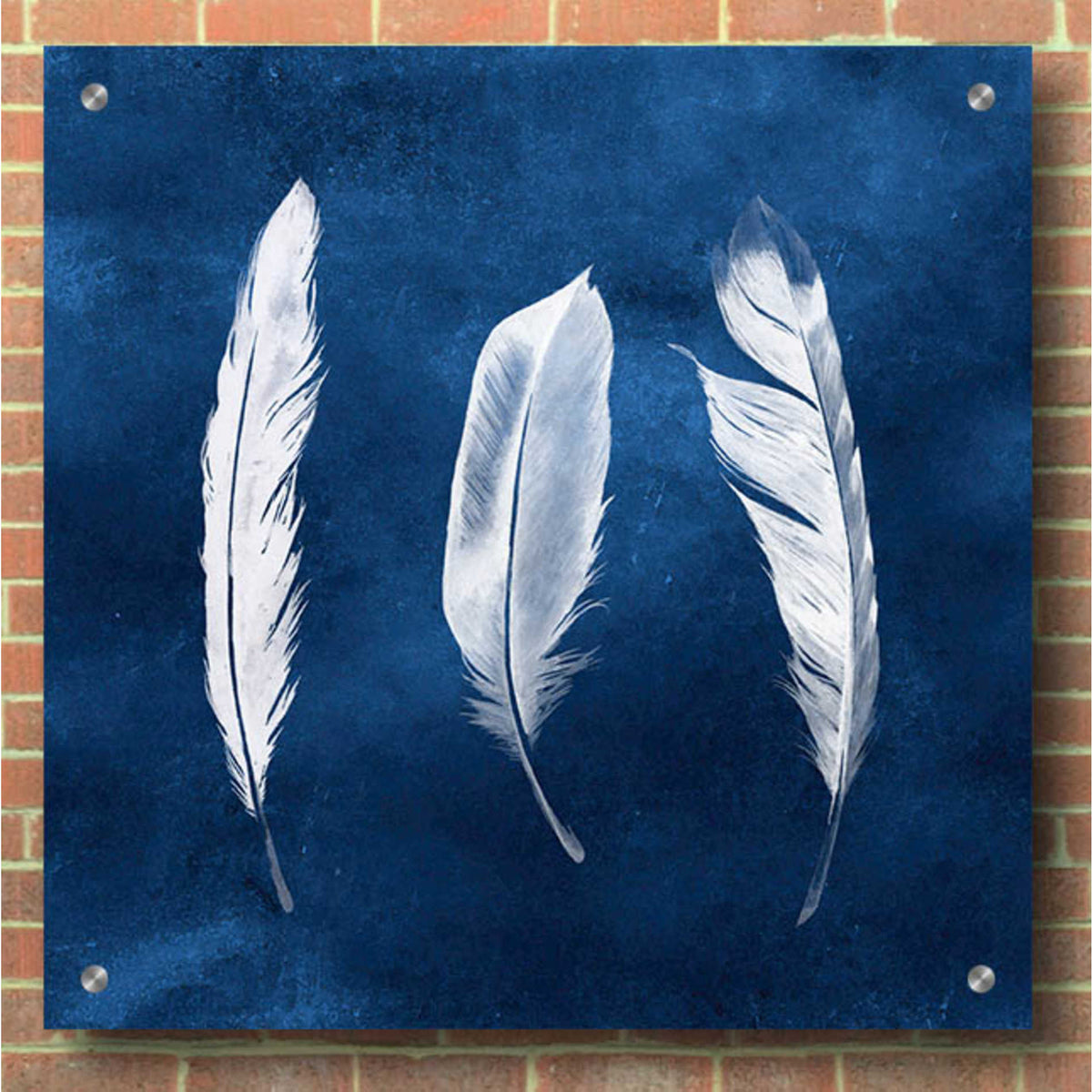 Epic Art 'Cyanotype Feathers II' by Grace Popp, Acrylic Glass Wall Art,36x36