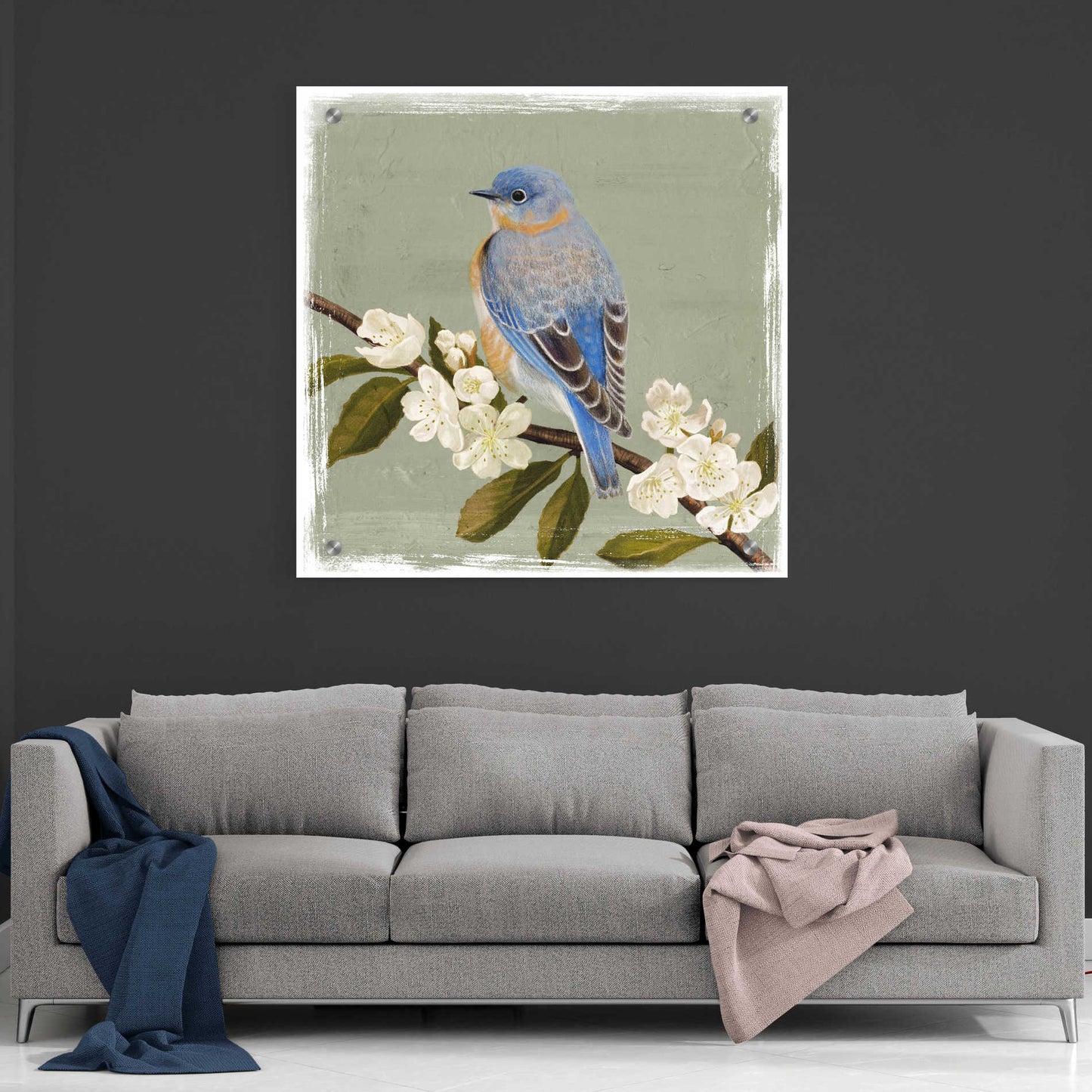 Epic Art 'Bluebird Branch II' by Victoria Borges, Acrylic Glass Wall Art,36x36