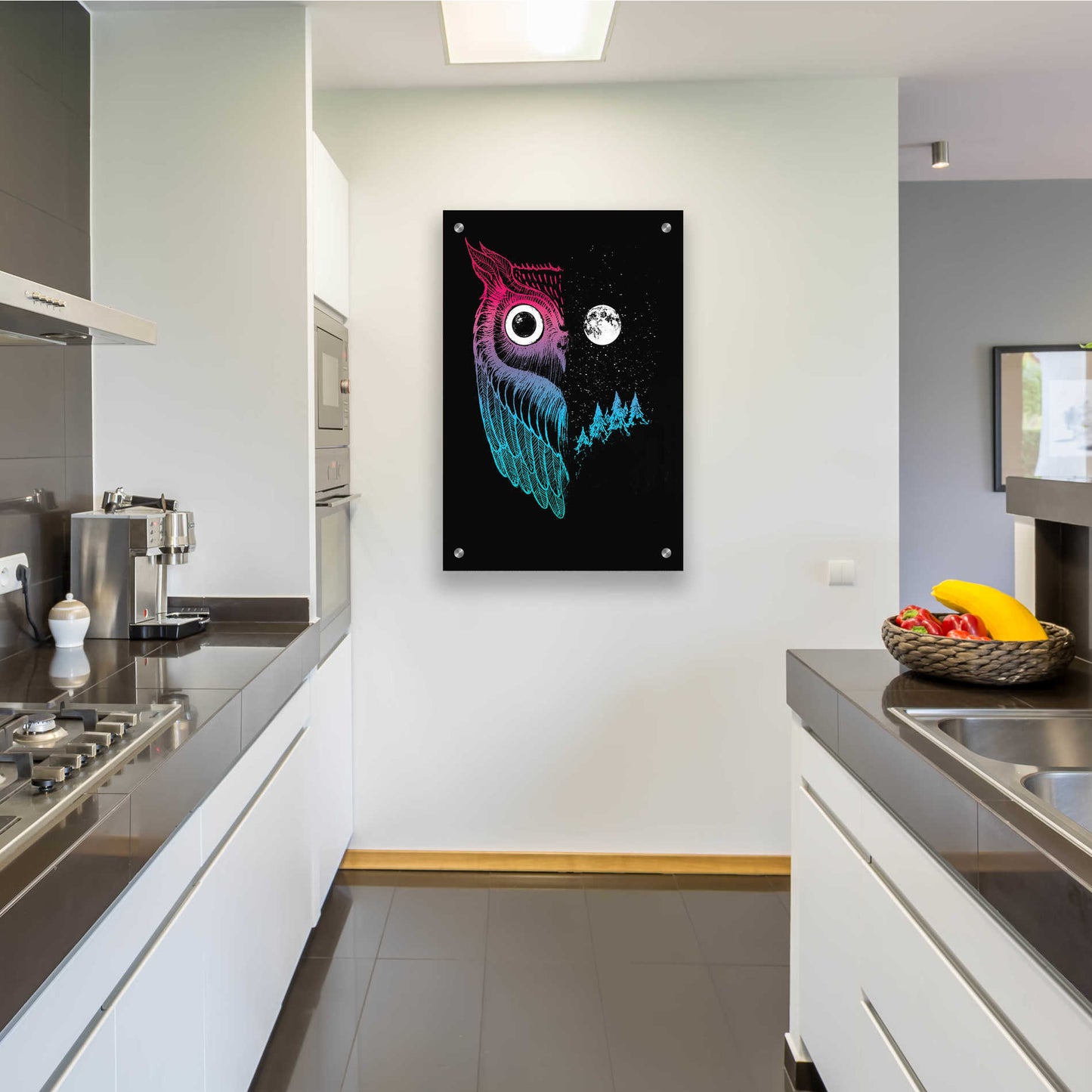 Epic Art 'Night Owl' by Michael Buxton, Acrylic Glass Wall Art,24x36