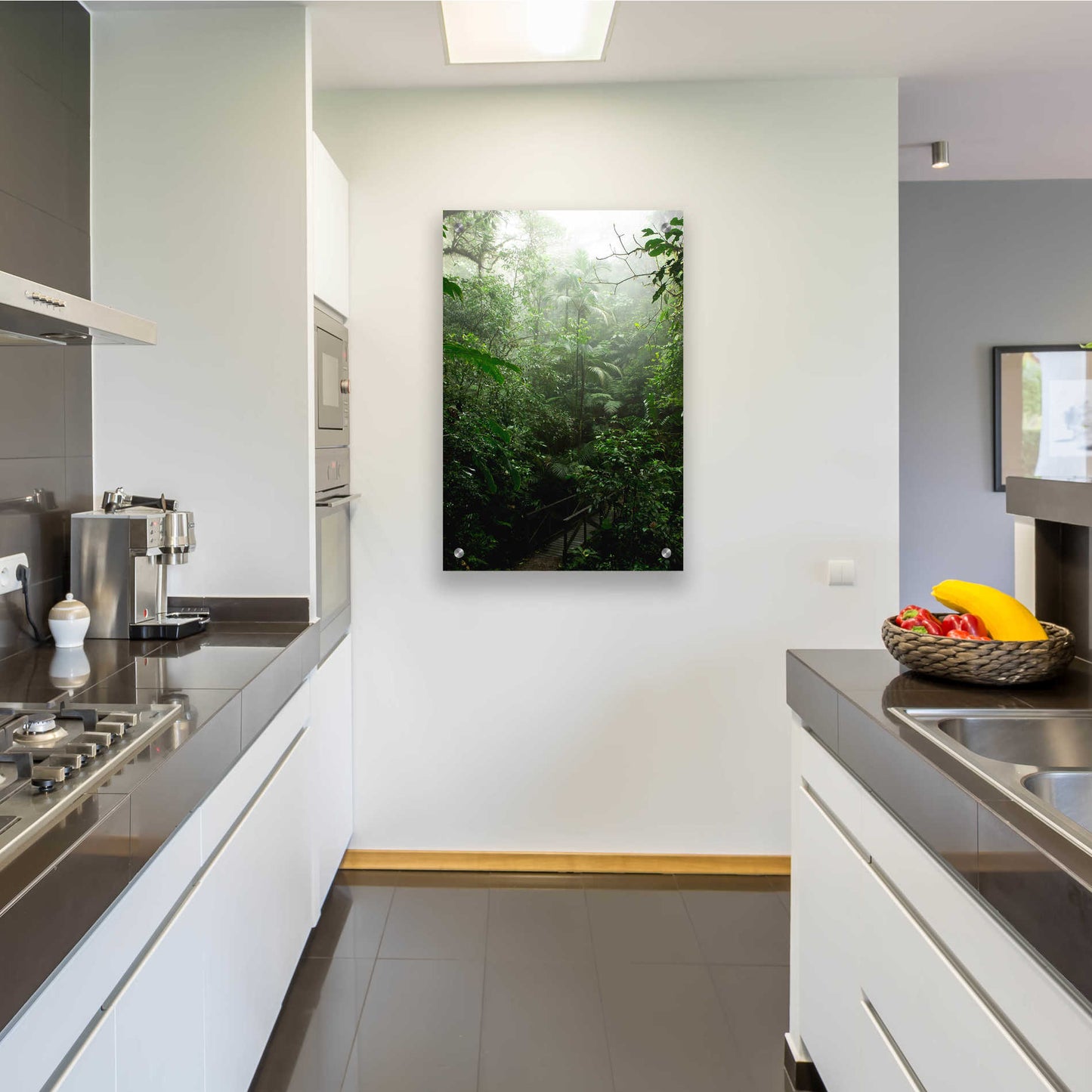 Epic Art 'Into The Cloud Forest' by Nicklas Gustafsson Acrylic Glass Wall Art,24x36