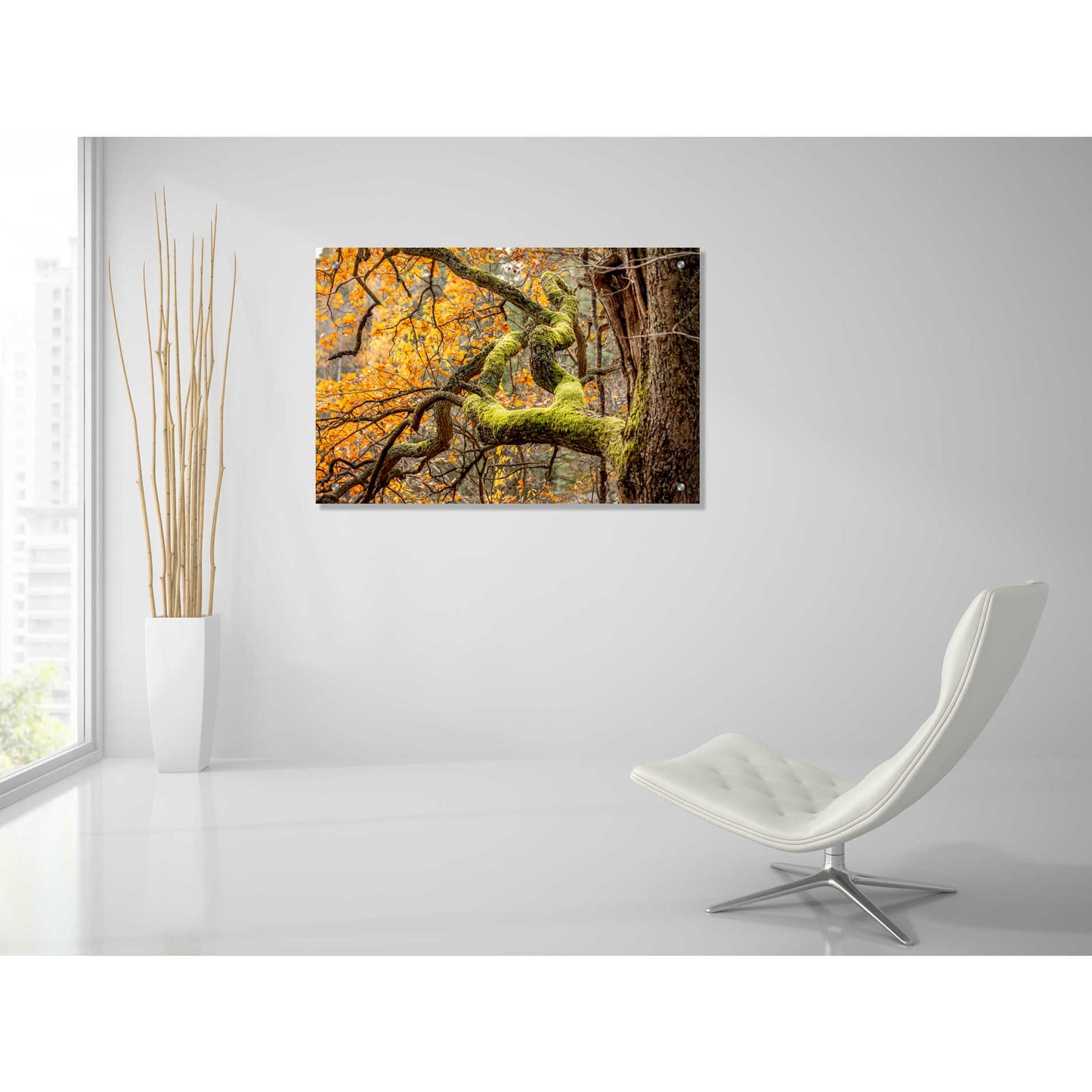 Epic Art 'Reaching Autumn Branch' by Nicklas Gustafsson Acrylic Glass Wall Art,36x24