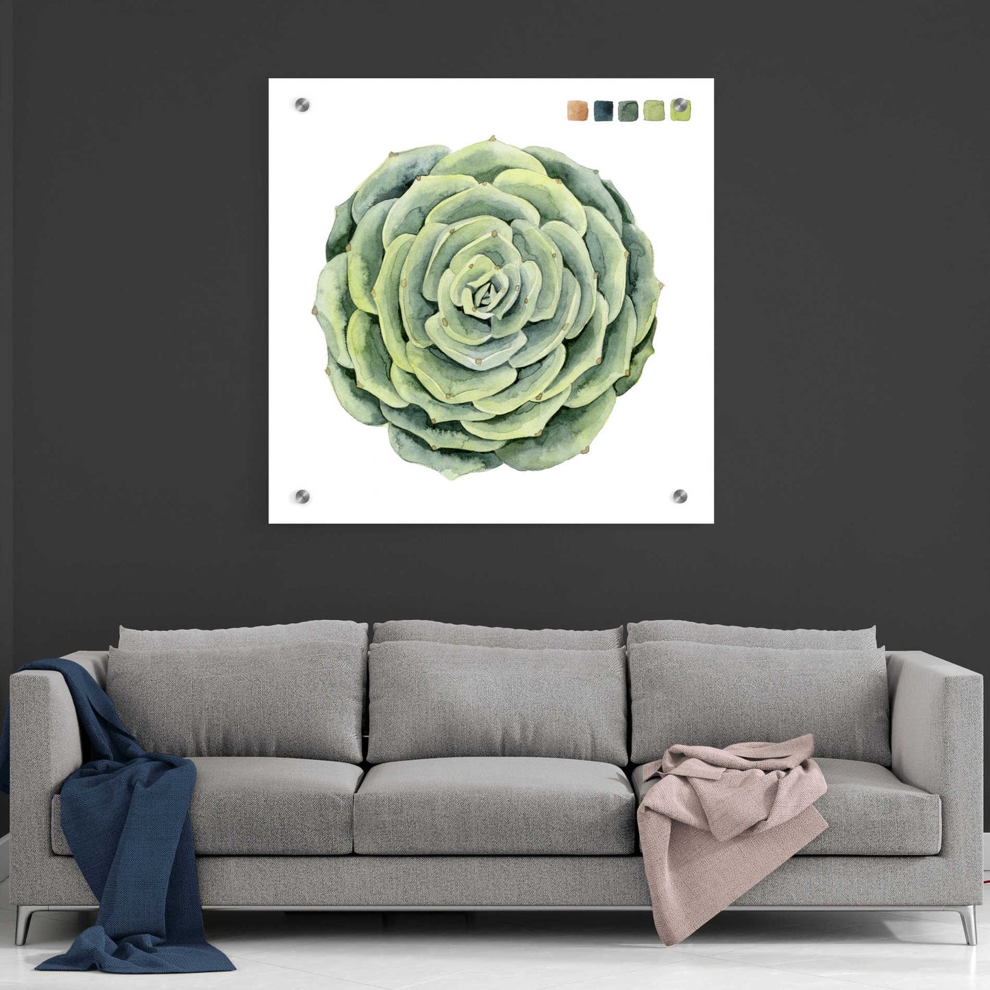 Epic Art 'Succulent Swatches IV' by Grace Popp, Acrylic Wall Glass,36x36