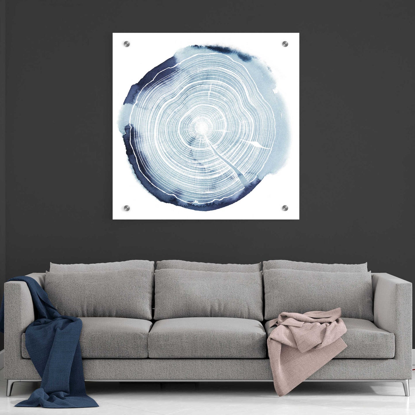 Epic Art 'Tree Ring Overlay III' by Grace Popp, Acrylic Wall Glass,36x36