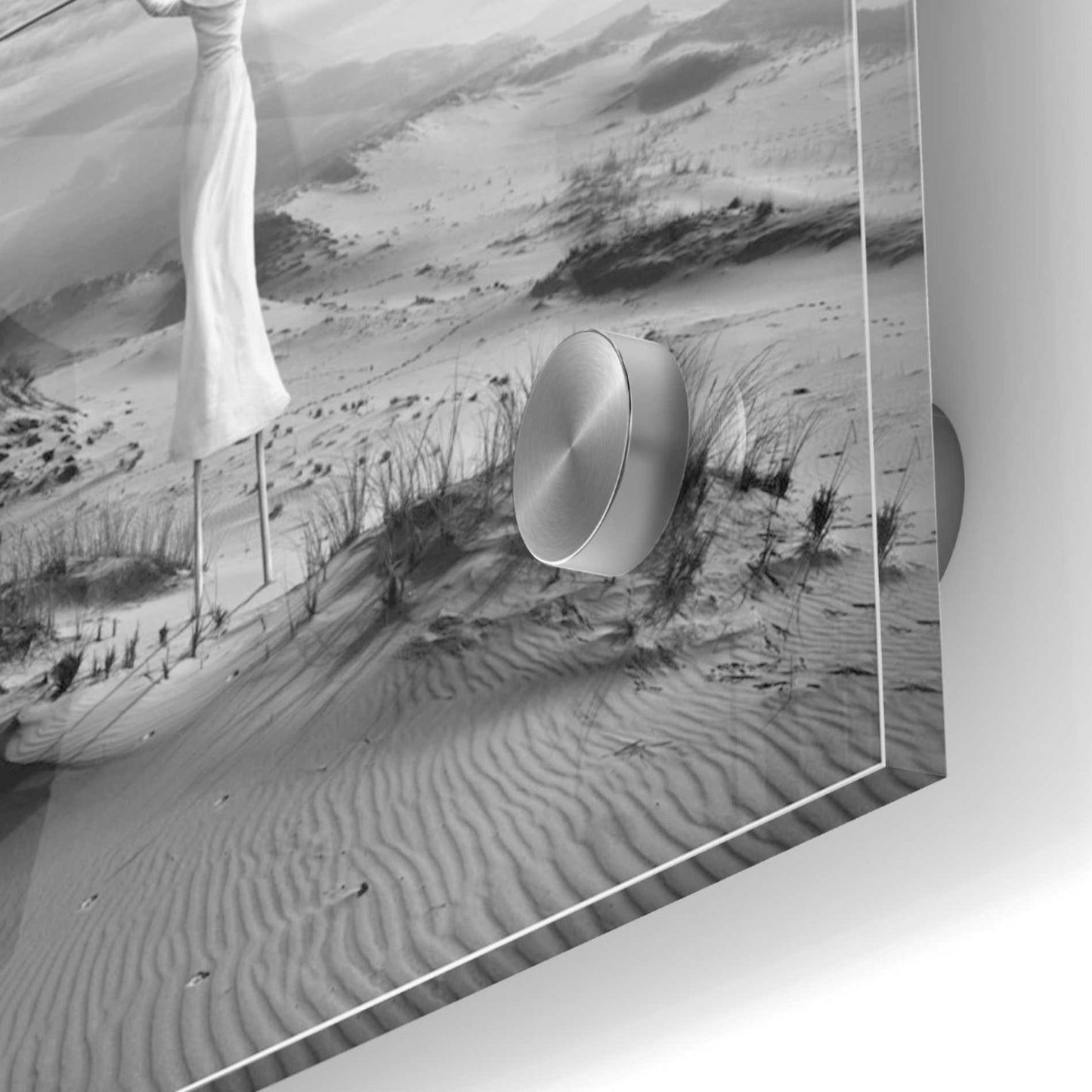 Epic Art 'Twins' by Dariusz Klimczak, Acrylic Glass Wall Art,24x24