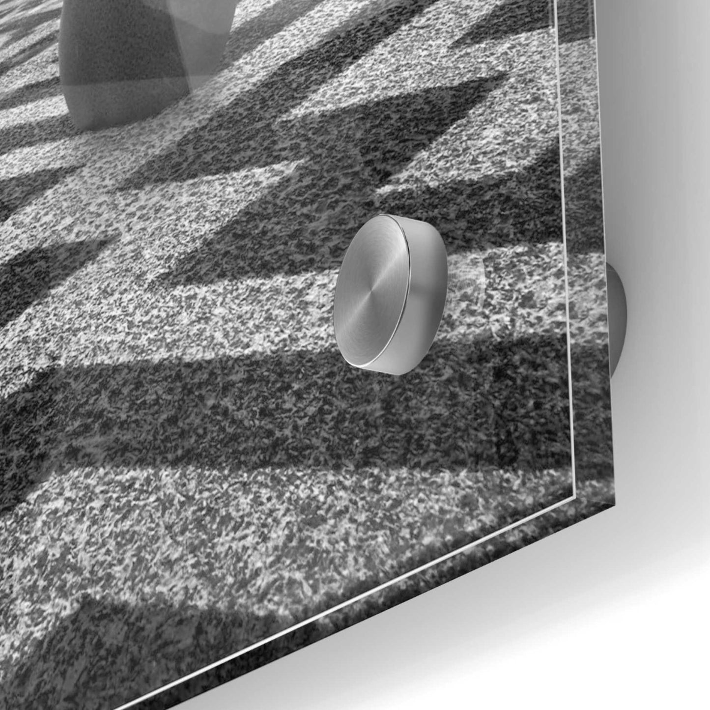 Epic Art 'Ptasi Labirynt' by Dariusz Klimczak, Acrylic Glass Wall Art,24x24