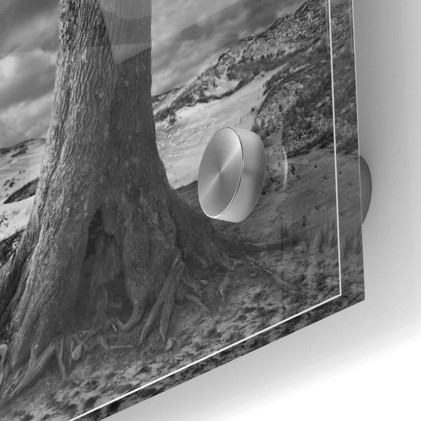 Epic Art 'Dry' by Dariusz Klimczak, Acrylic Glass Wall Art,24x24