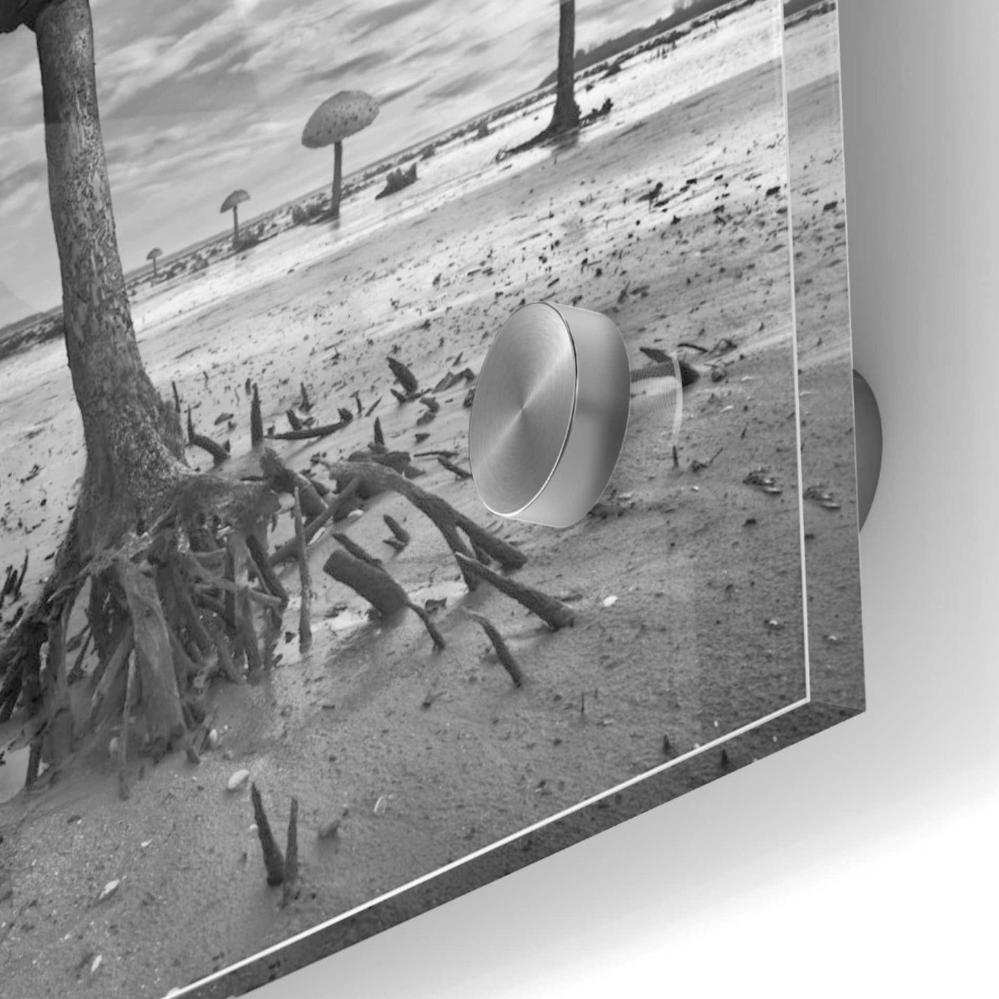 Epic Art 'Kanie' by Dariusz Klimczak, Acrylic Glass Wall Art,24x24