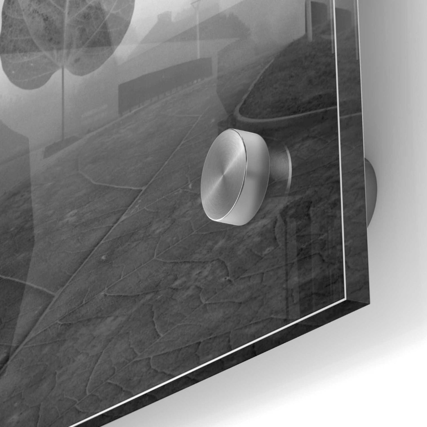 Epic Art 'Leave Alley' by Dariusz Klimczak, Acrylic Glass Wall Art,24x24