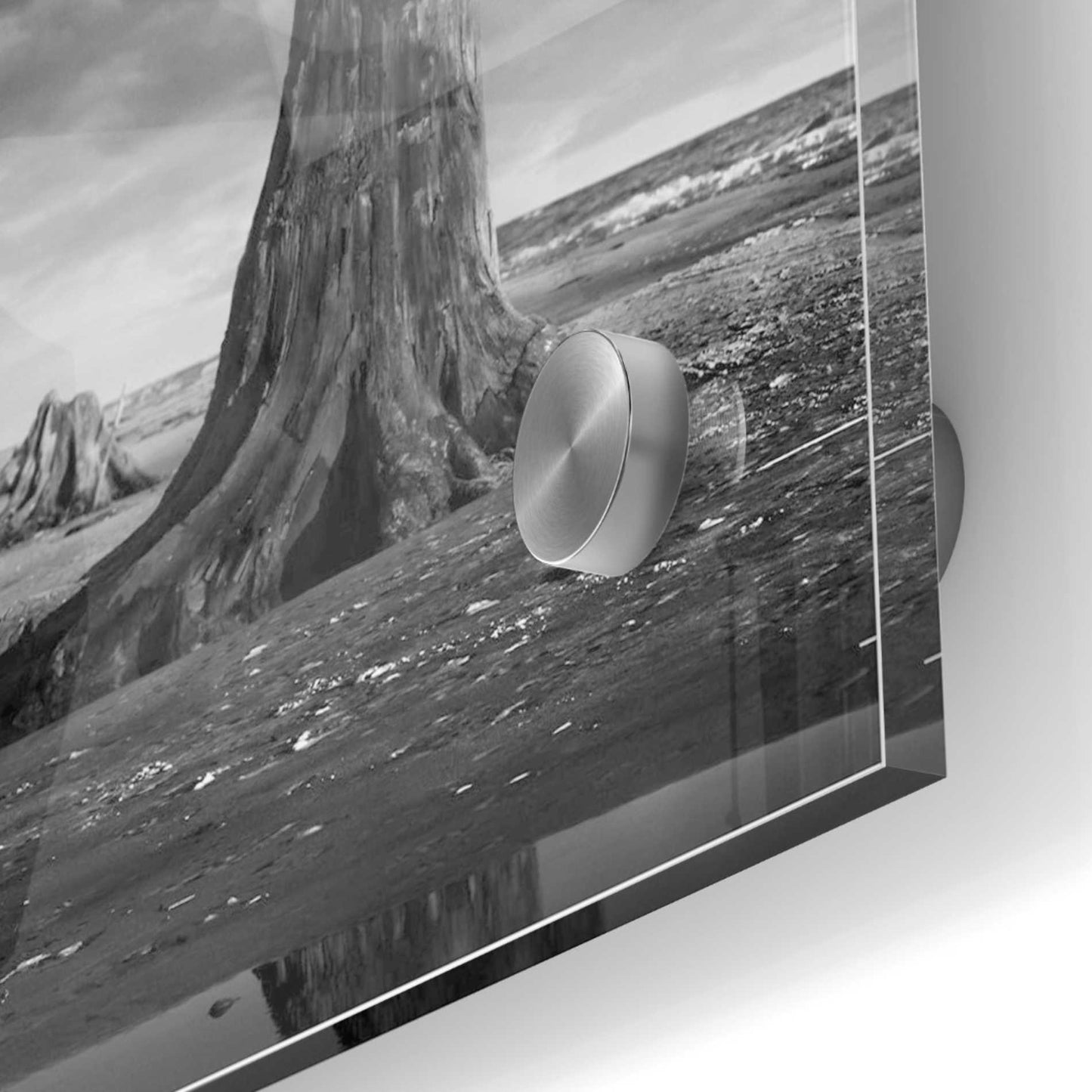 Epic Art 'Moll' by Dariusz Klimczak, Acrylic Glass Wall Art,24x24