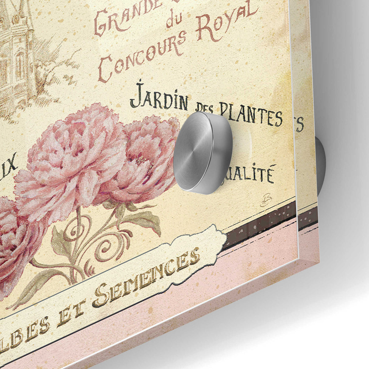 Epic Art 'French Seed Packet III' by Daphne Brissonet, Acrylic Glass Wall Art,24x36