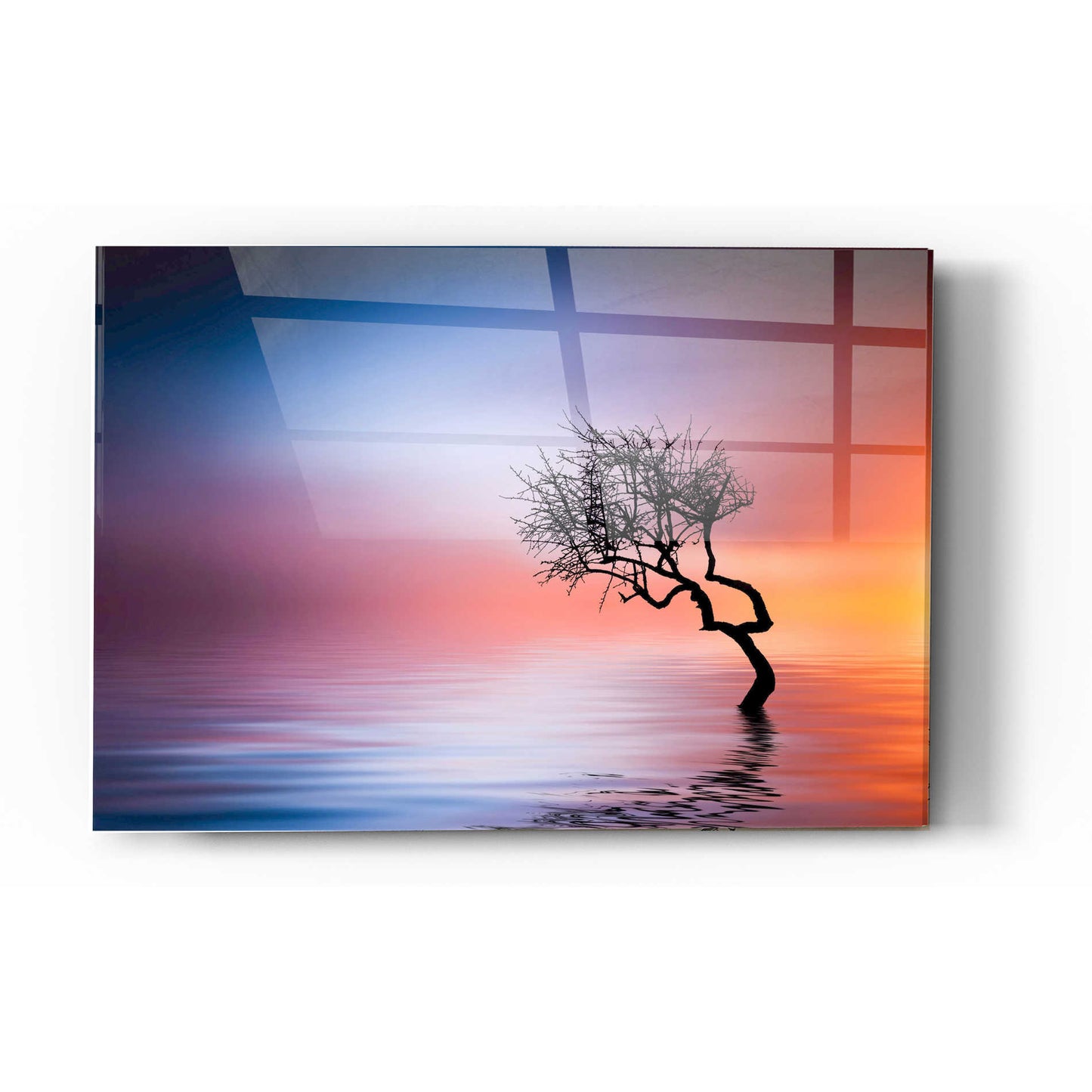 Epic Art "Growing Reflections" Acrylic Glass Wall Art,24x36