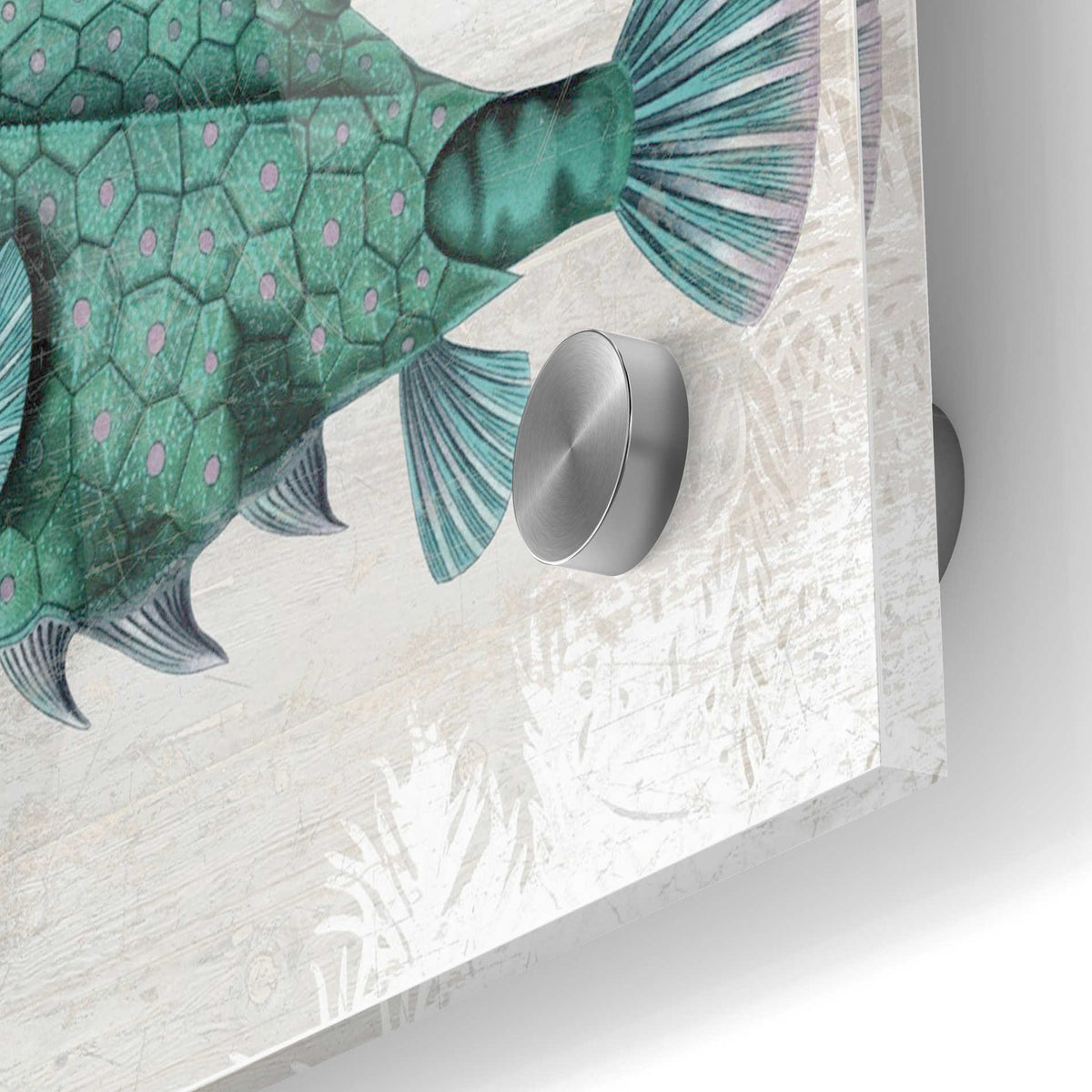Epic Art 'Turquoise Turret Fish' by Fab Funky Acrylic Glass Wall Art,24x36