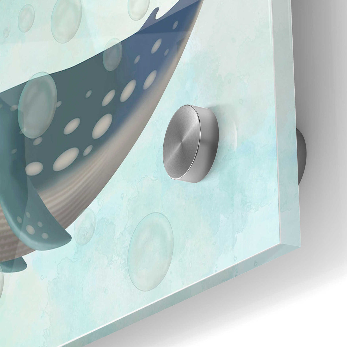 Epic Art 'Whale Bubbles 1' by Fab Funky Acrylic Glass Wall Art,24x36