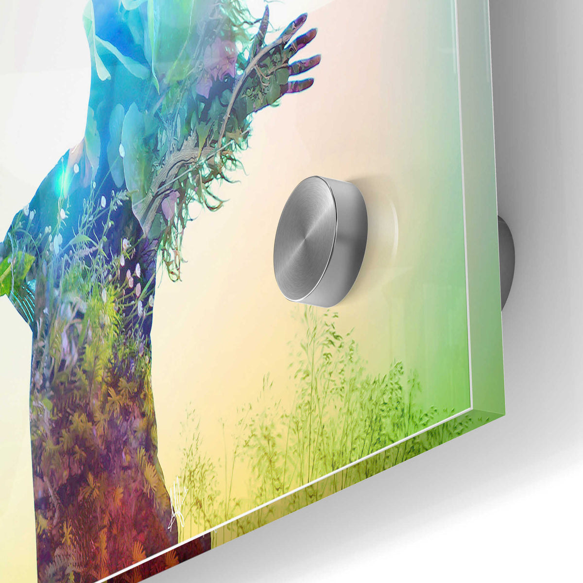Epic Art 'Release' by Mario Sanchez Nevado, Acrylic Glass Wall Art,24x36